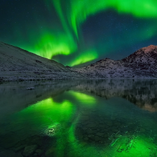 512x512 HD Aurora Borealis Photography 2022 512x512 Resolution ...