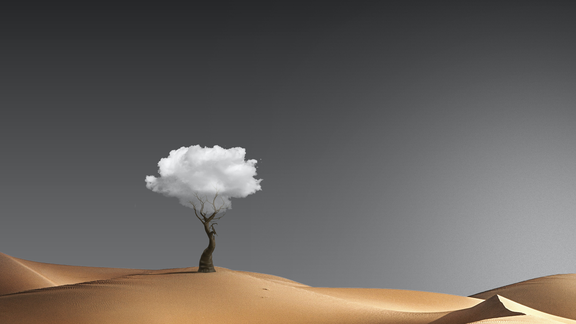HD Digital Tree in Desert Wallpaper, HD Artist 4K Wallpapers, Images,  Photos and Background - Wallpapers Den