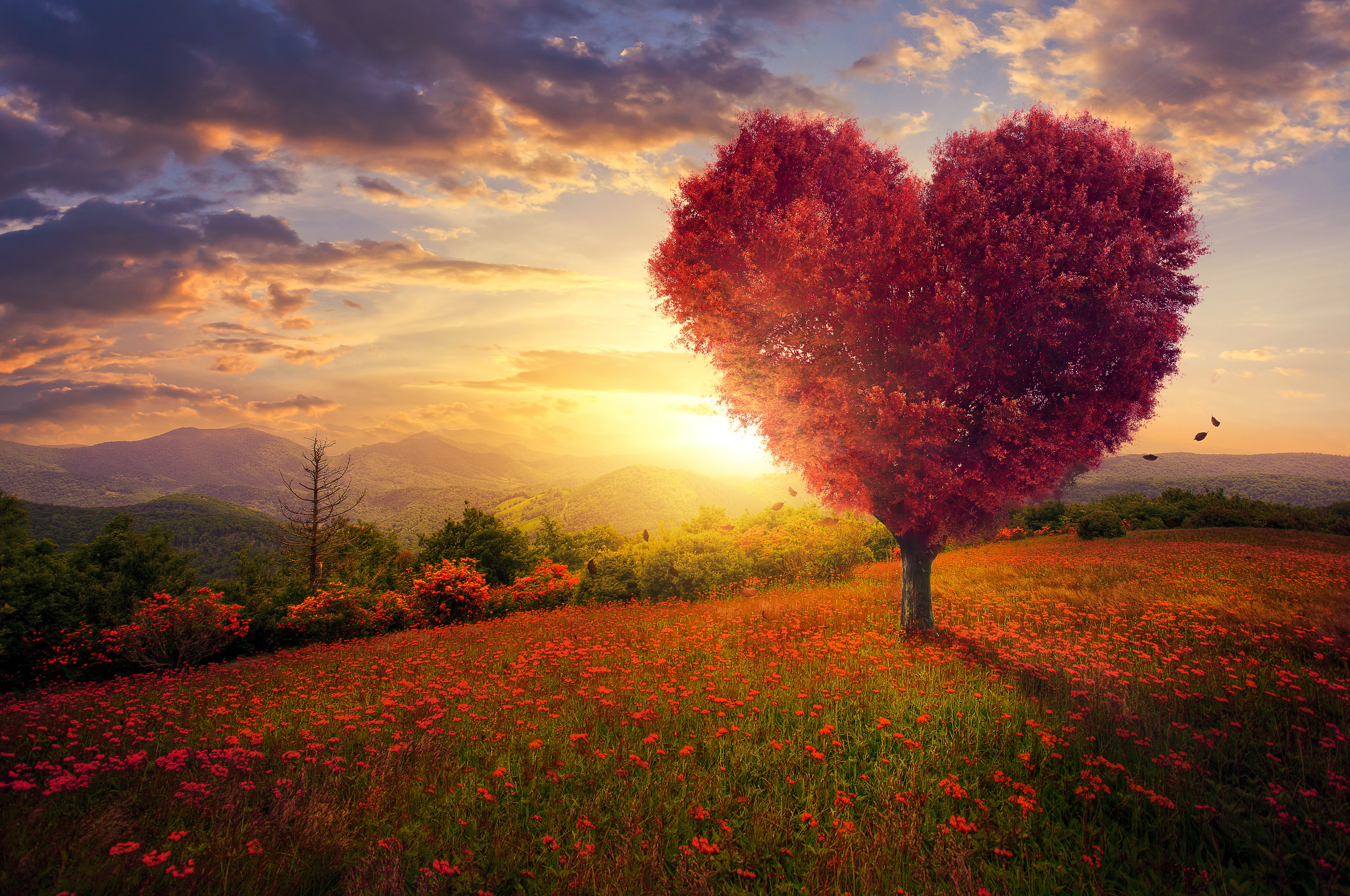 Heart tree Wallpapers Download | MobCup