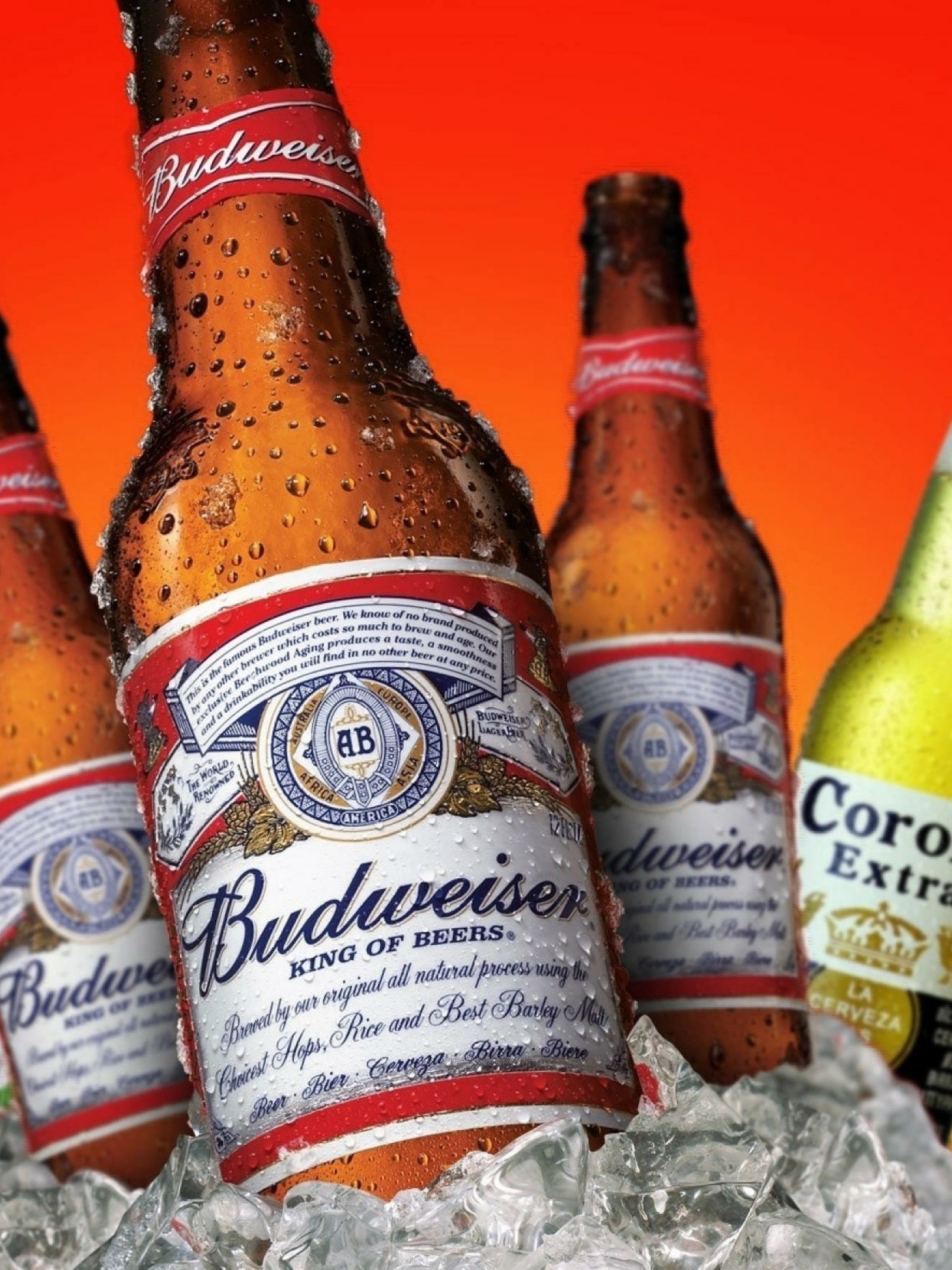 The Bud Light Transgender Controversy and Its Impacts Explained  TheStreet