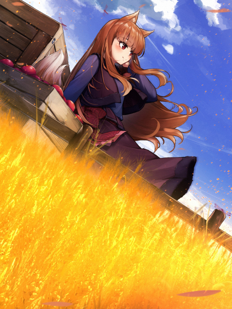 768x1024 Holo HD Spice & Wolf 768x1024 Resolution Wallpaper, HD Anime 4K  Wallpapers, Images, Photos and Background - Wallpapers Den