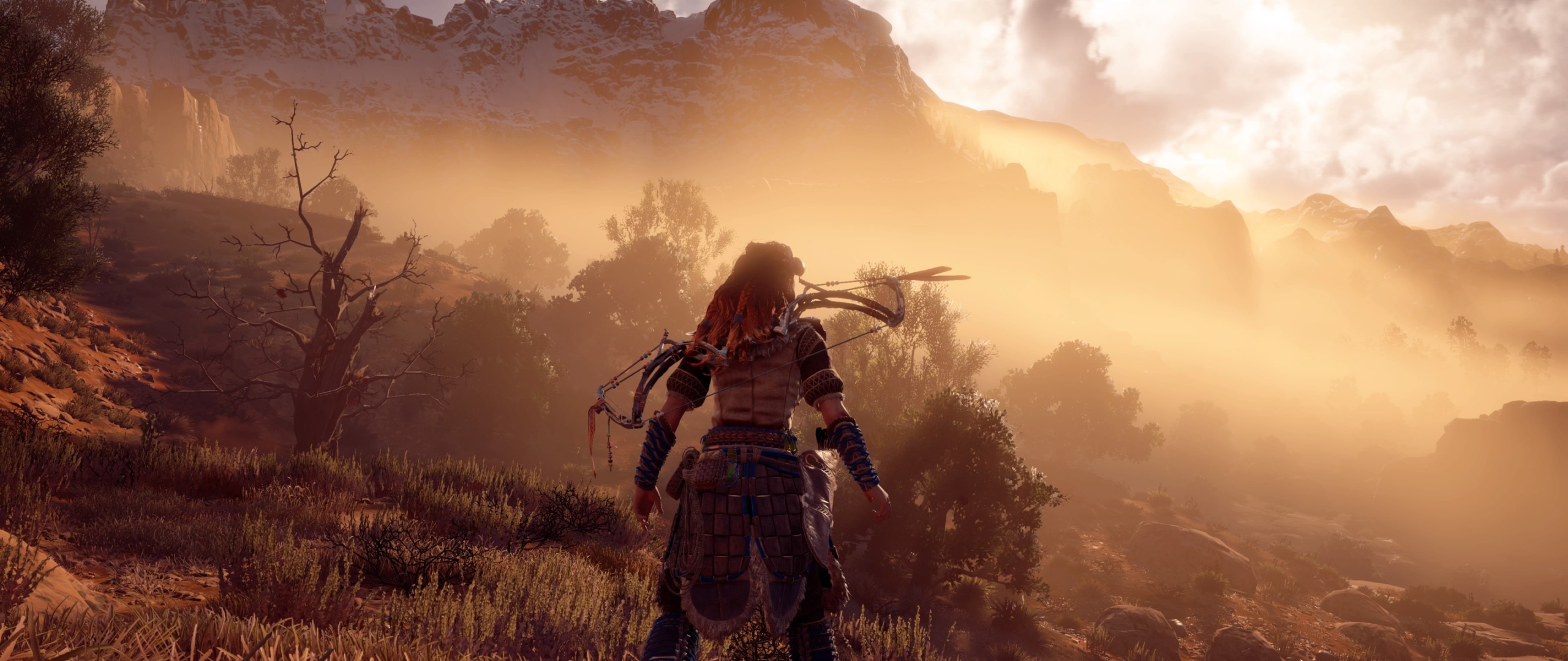 2560x1080 Horizon Zero Dawn 2560x1080 Resolution Wallpaper Hd