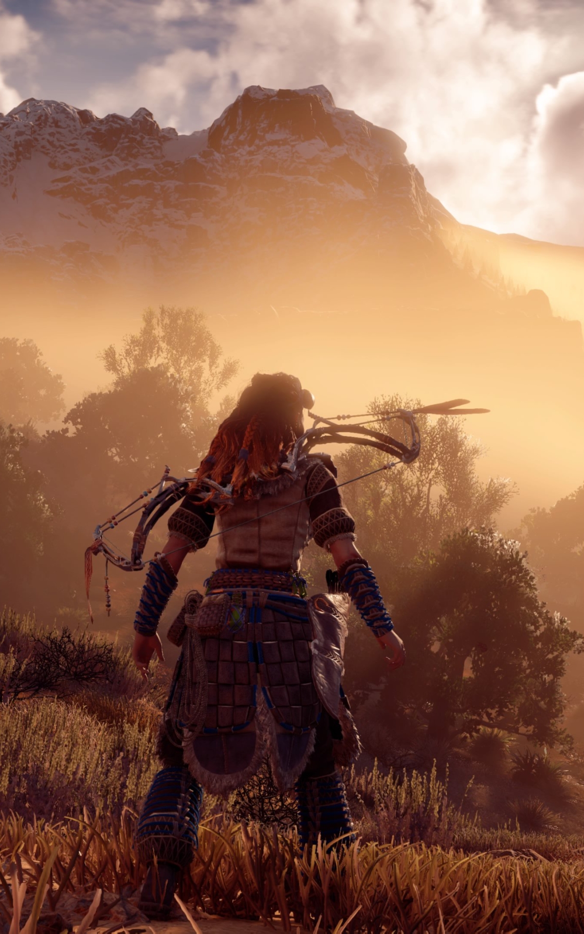 1200x1920 Horizon Zero Dawn 1200x1920 Resolution Wallpaper, HD Games 4K