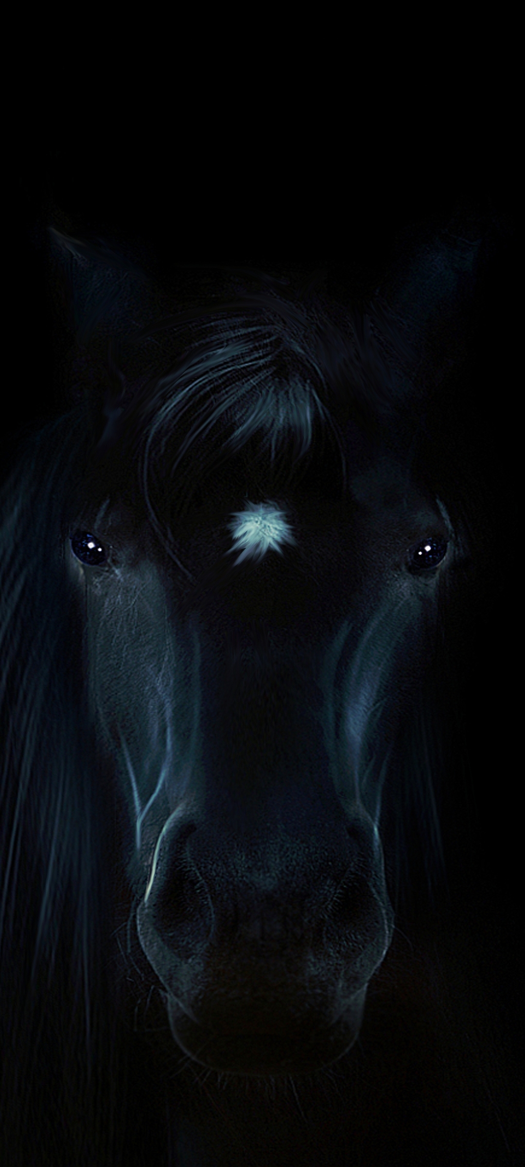1080x2400 Horse Portrait 1080x2400 Resolution Wallpaper, HD Animals 4K  Wallpapers, Images, Photos and Background - Wallpapers Den