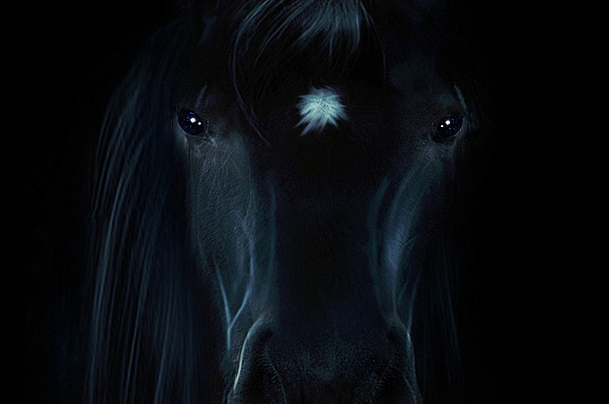 1977x1313 Resolution Horse Portrait 1977x1313 Resolution Wallpaper