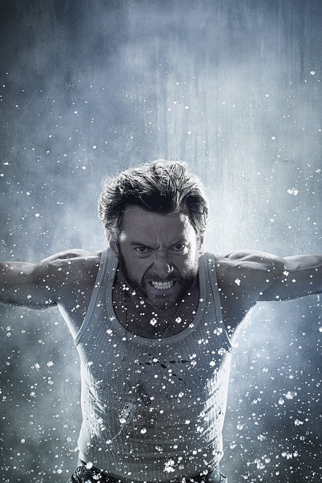 HD wallpaper: Hugh Jackman, Wolverine, Logan, The Wolverine, Wolverine: The  Immortal | Wallpaper Flare