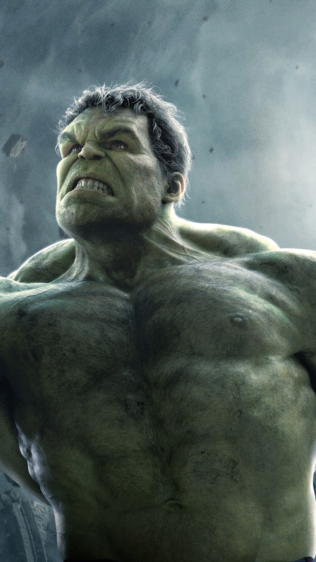 Hulk In Avengers Infinity War 2018, Full HD 2K Wallpaper