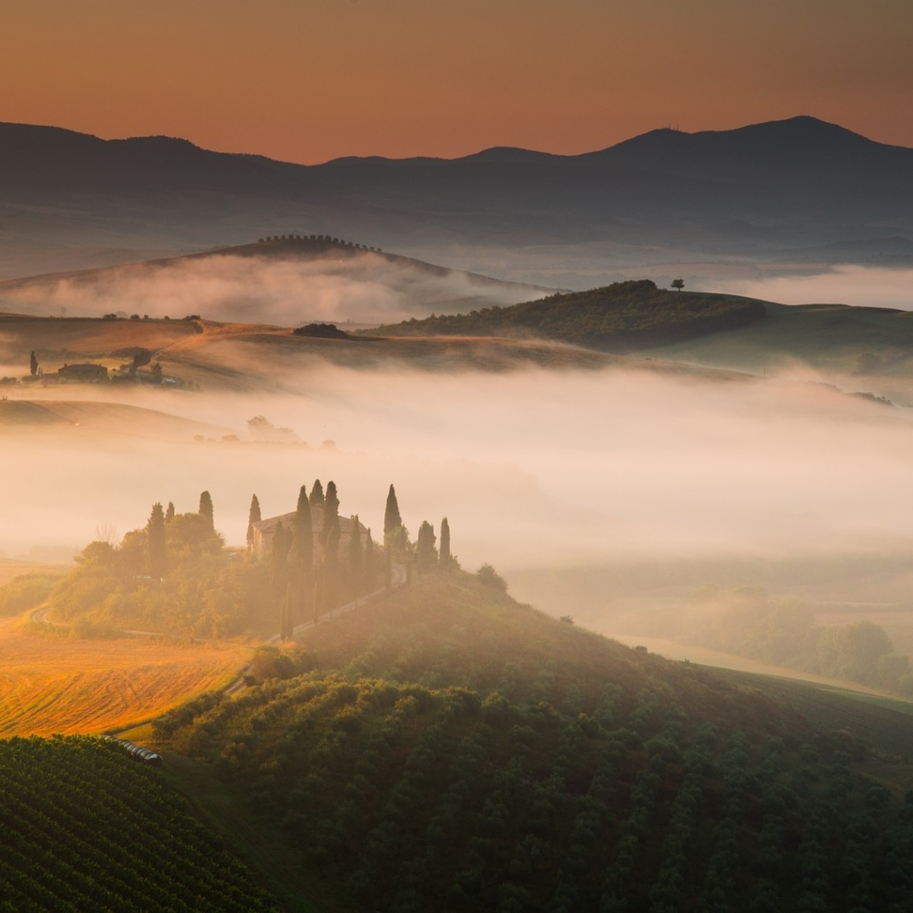 Холмы туман. Тоскана Италия горы. Виноградники на холмах Тосканы. Италия Тоскана природа рассвет. Тоскана Италия Эстетика.