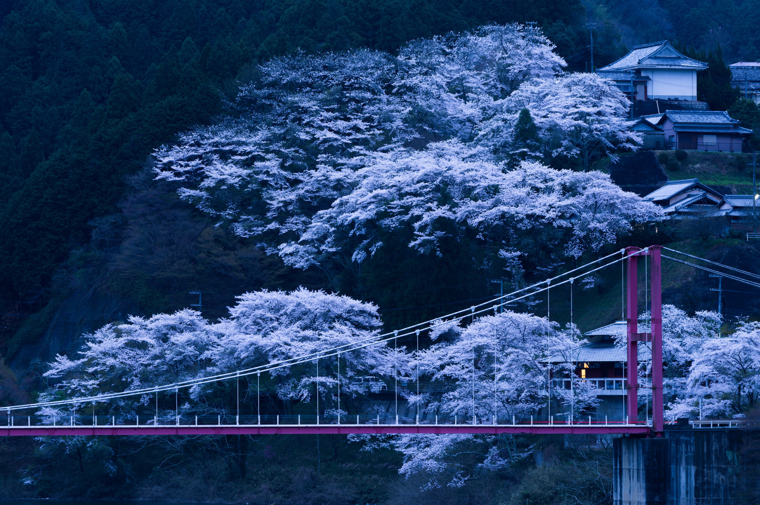 Японское качество видео. Япония Префектура Оита природа. Эстетика Токио Сакура. Мост Тояма Япония.