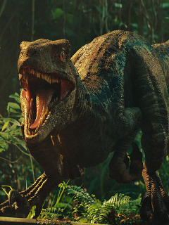 240x3 Jurassic World Fallen Kingdom Dinosaurs Android Mobile Nokia 230 Nokia 215 Samsung Xcover 550 Lg G350 Wallpaper Hd Movies 4k Wallpapers Images Photos And Background Wallpapers Den