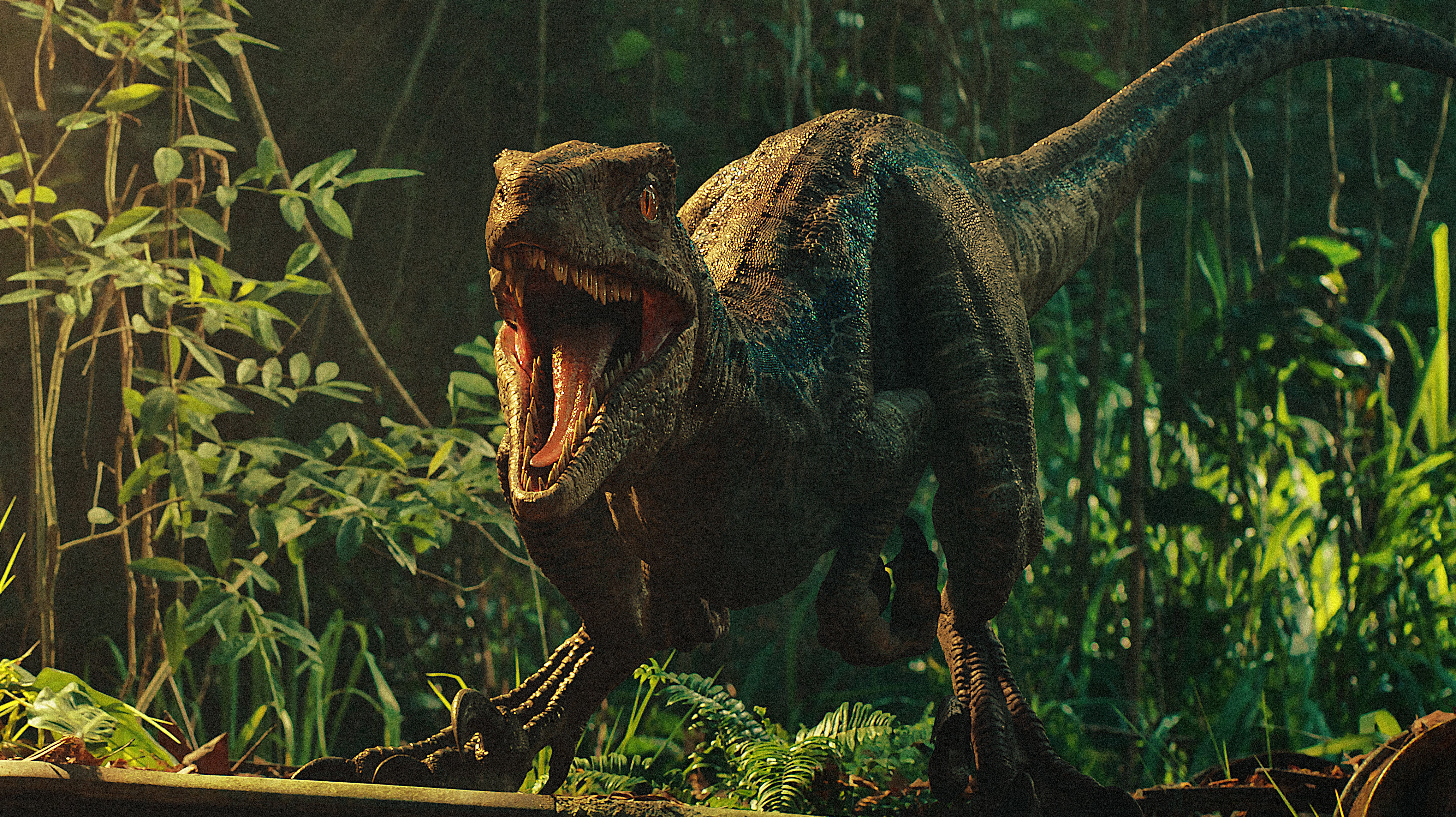Jurassic World Fallen Kingdom Dinosaurs Wallpaper, HD Movies 4K Wallpapers,  Images, Photos and Background - Wallpapers Den