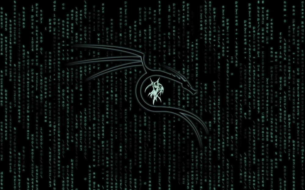 1000x624-resolution-kali-linux-matrix-1000x624-resolution-wallpaper