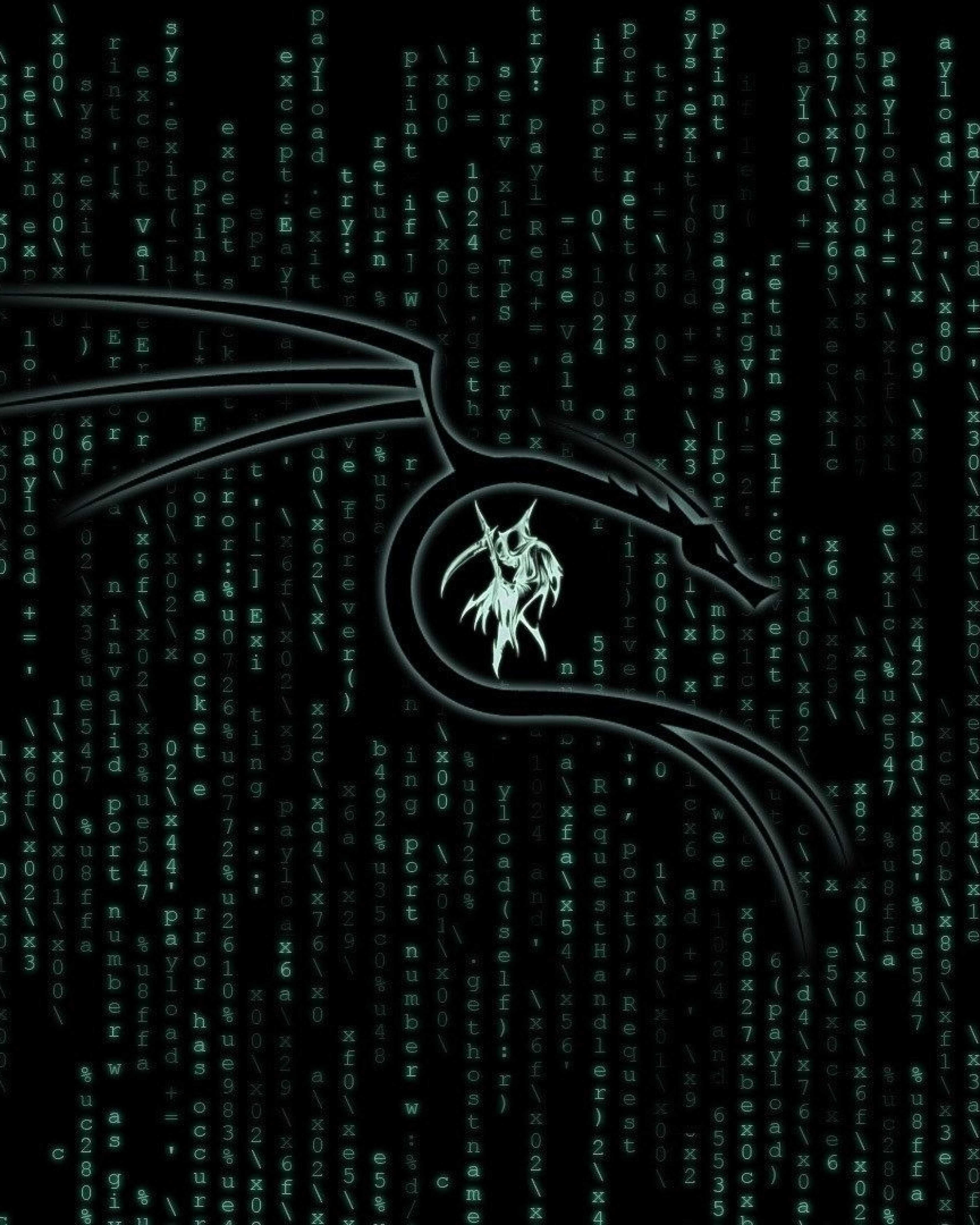 Kali hack. Кали линукс. Kali Linux Dark. Kali Linux logo. Кали линукс на телефон.