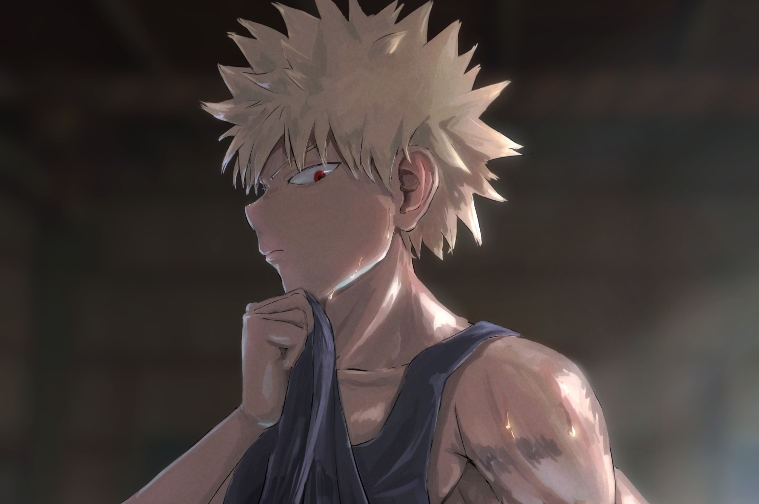 2560x1700 Katsuki Bakugou Chromebook Pixel Wallpaper Hd Anime 4k