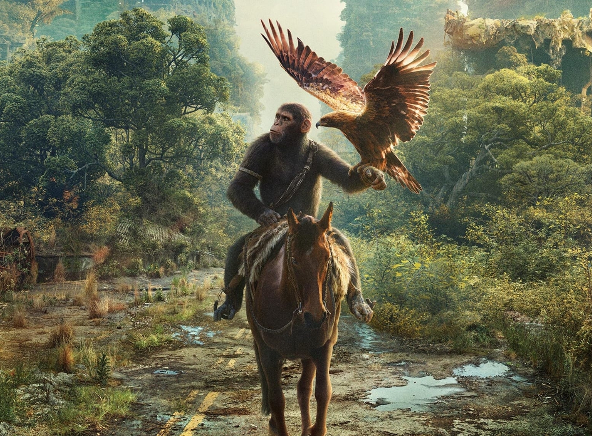 1900x1400 Resolution Kingdom of the of the Apes 2024 Movie