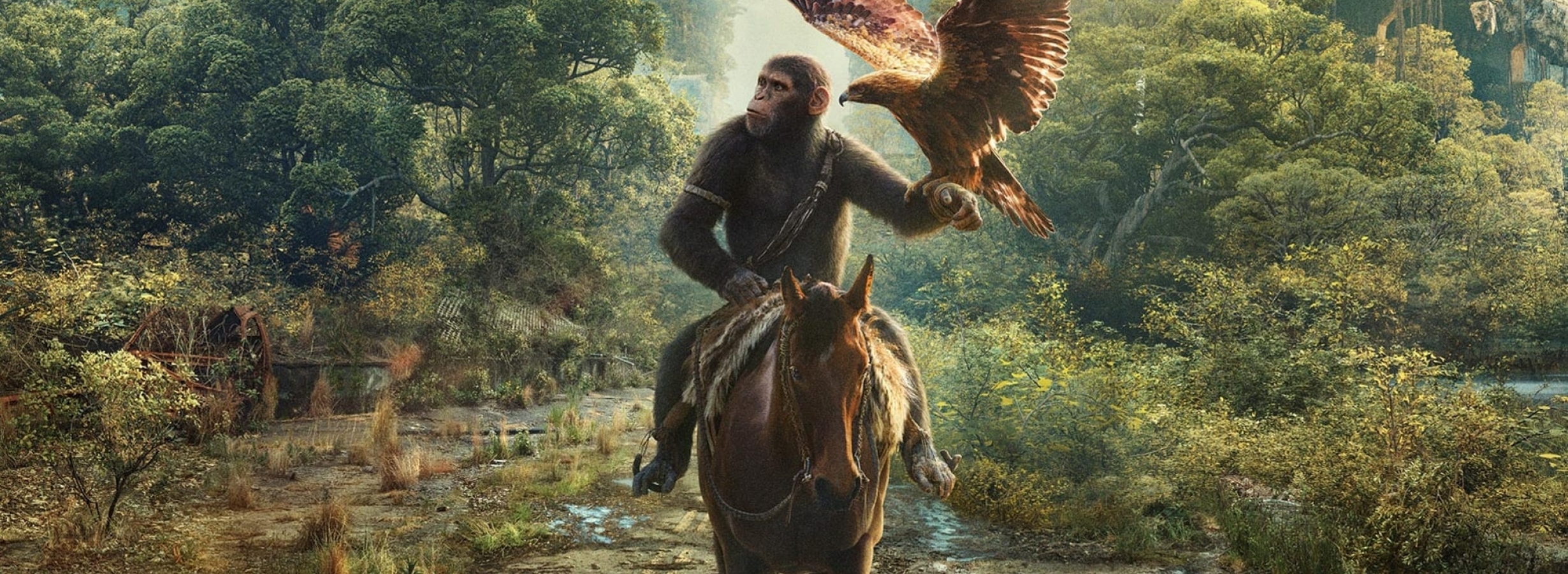 2460x900 Resolution Kingdom of the of the Apes 2024 Movie