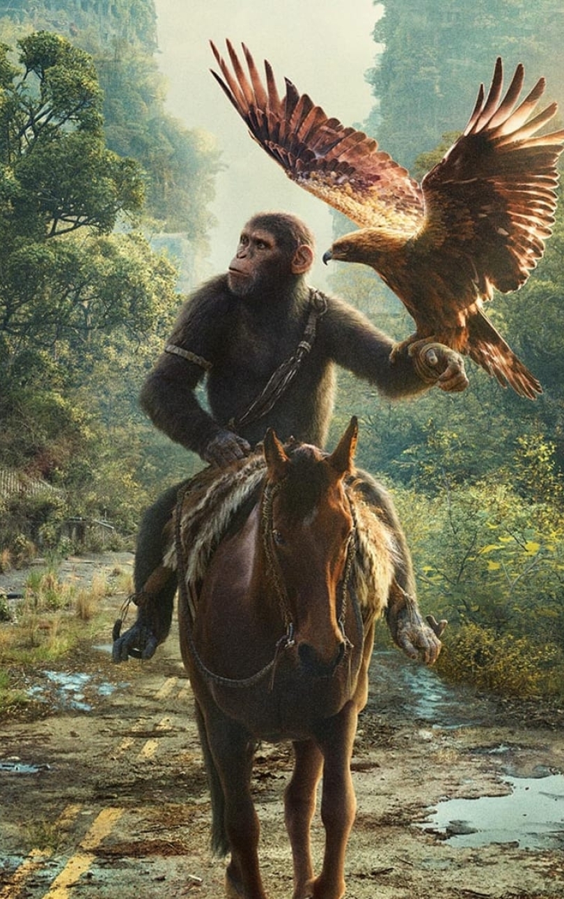 810x1290 Resolution Kingdom of the of the Apes 2025 Movie