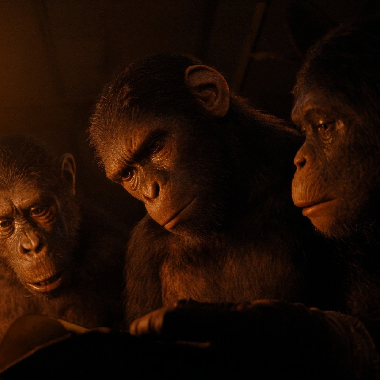 1280x1280 Resolution Kingdom of the of the Apes 2024 1280x1280