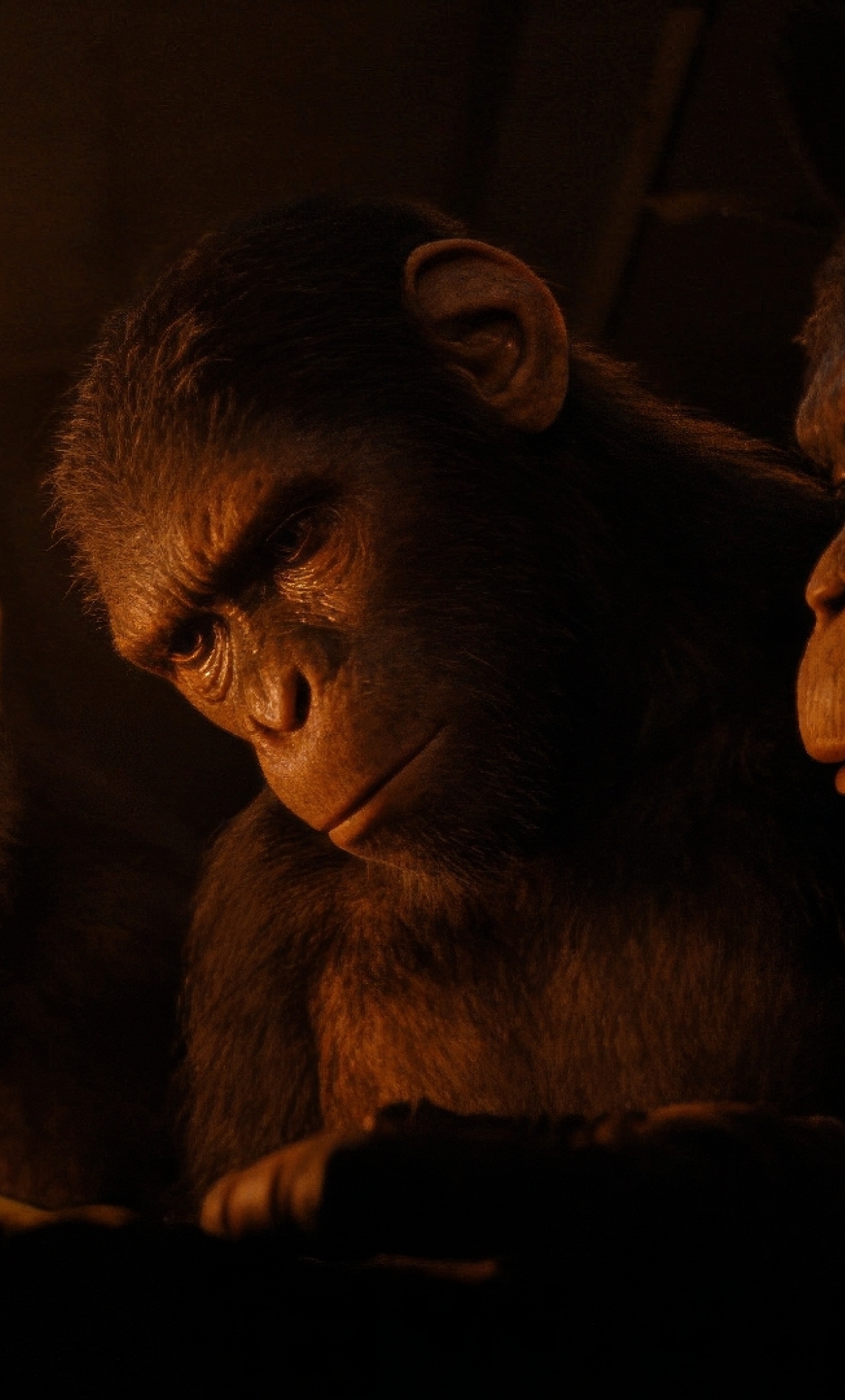 1280x2120 Resolution Kingdom of the of the Apes 2024 iPhone 6