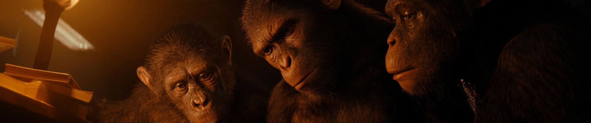 1920x400 Resolution Kingdom Of The Planet Of The Apes 2024 1920x400   Kingdom Of The Planet Of The Apes 2024 BmZubWqUmZqaraWkpJRmbmdlrWllZQ 