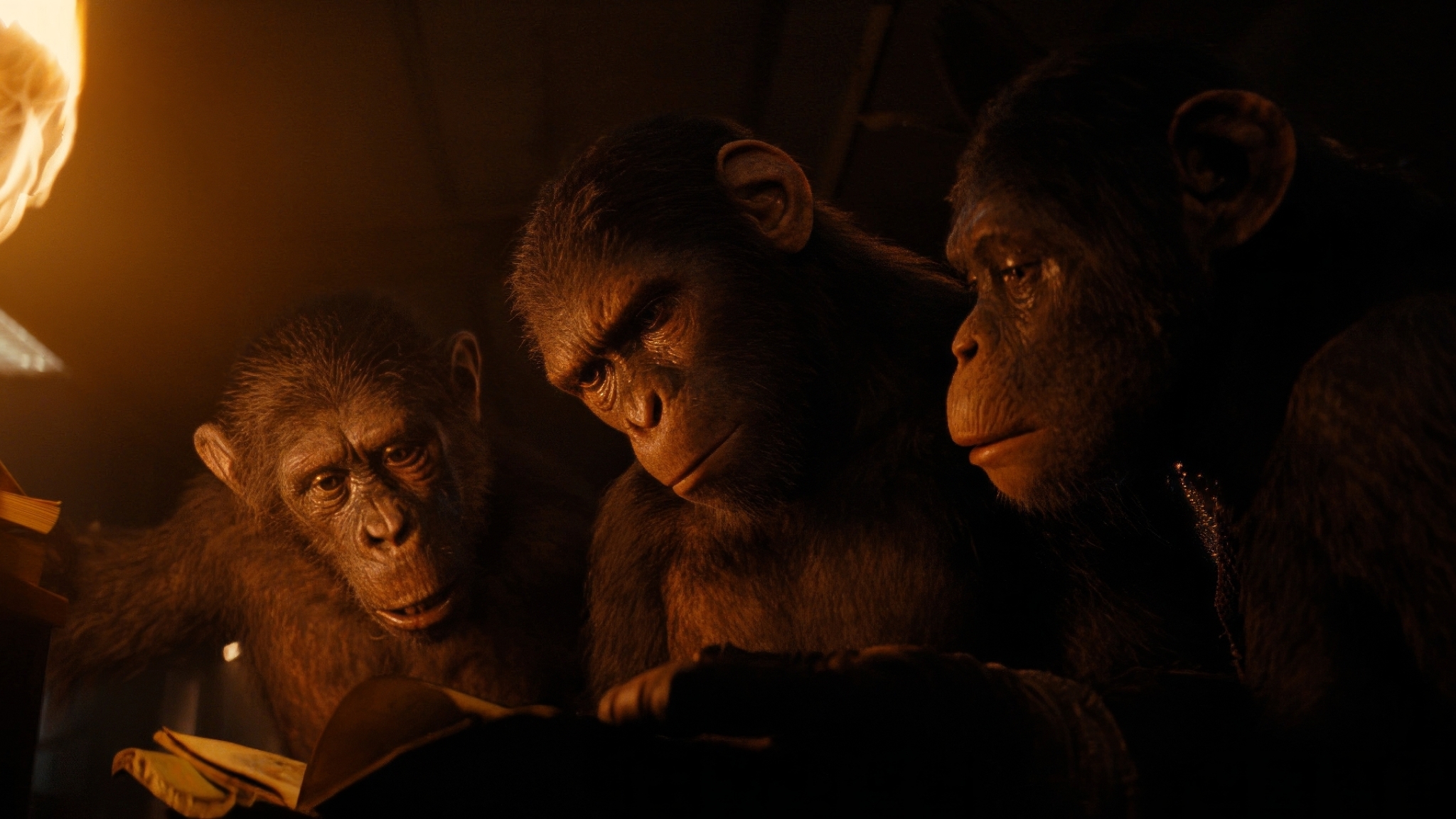 2048x1152 Resolution Kingdom of the of the Apes 2024 2048x1152