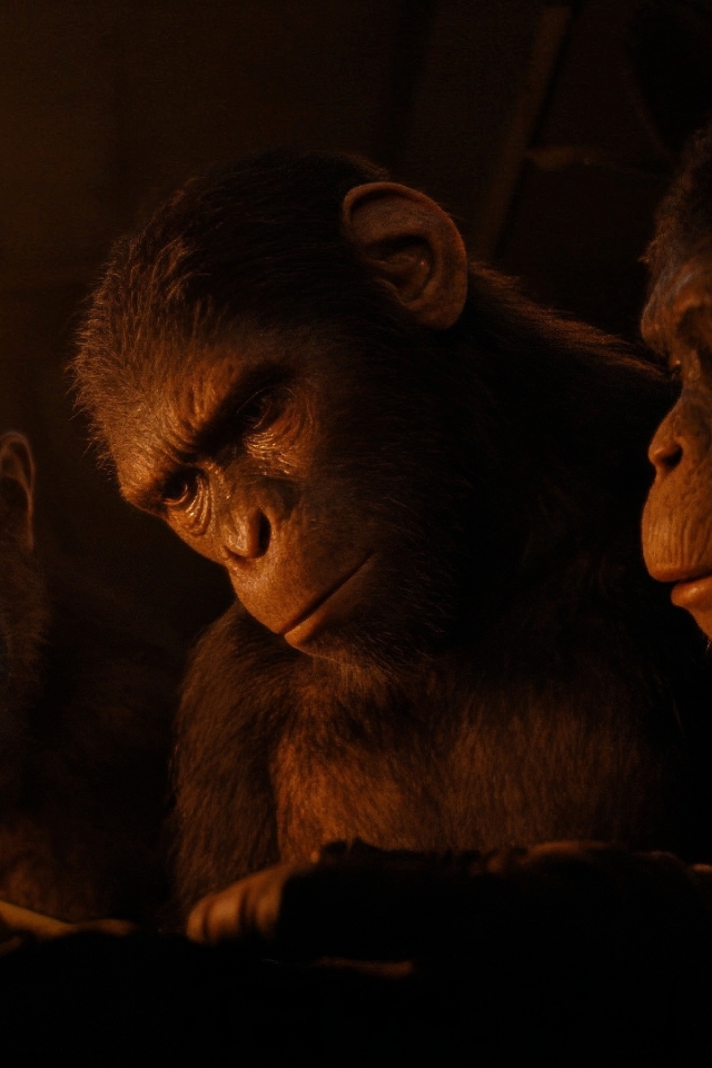 640x960 Resolution Kingdom of the of the Apes 2024 iPhone 4