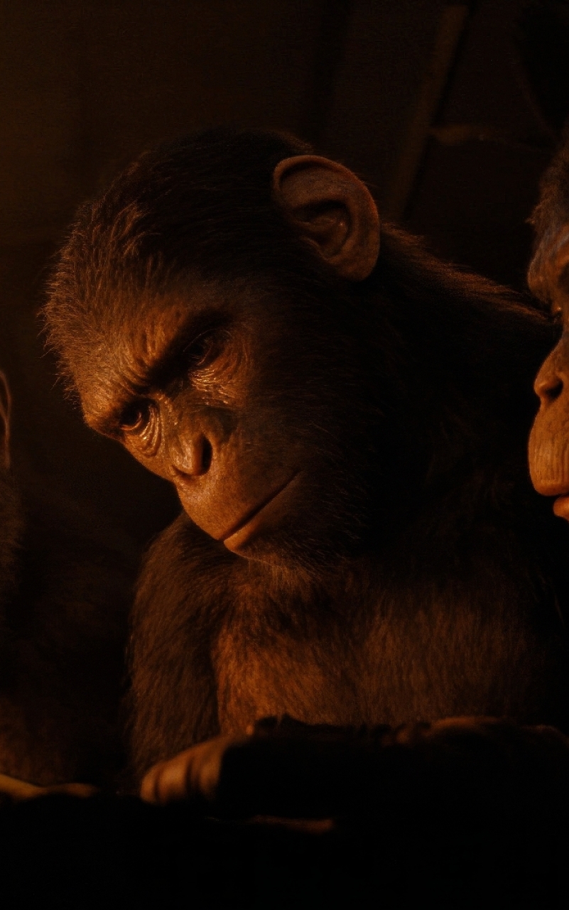 801x1281 Resolution Kingdom of the of the Apes 2024 801x1281