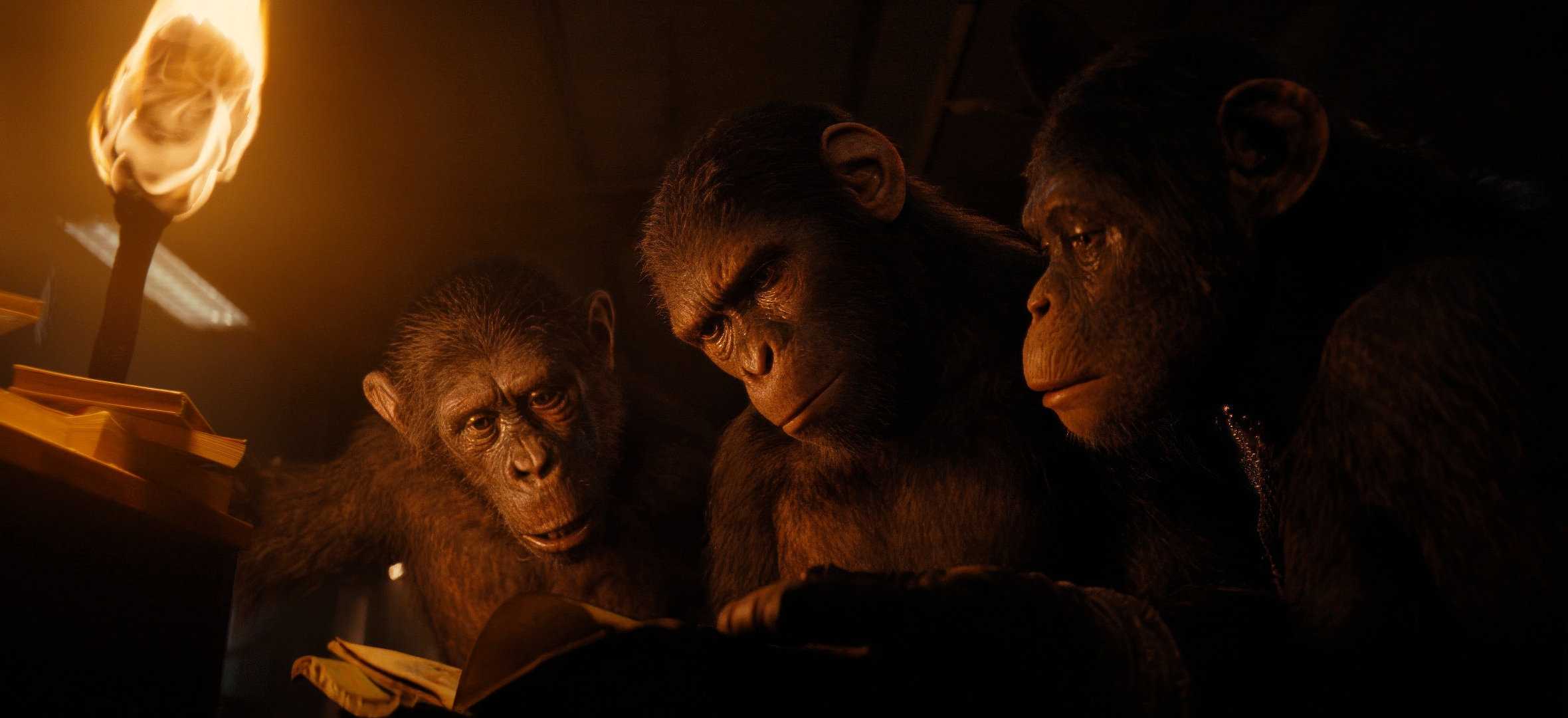 1080x2360 Resolution Kingdom of the of the Apes 2025 1080x2360