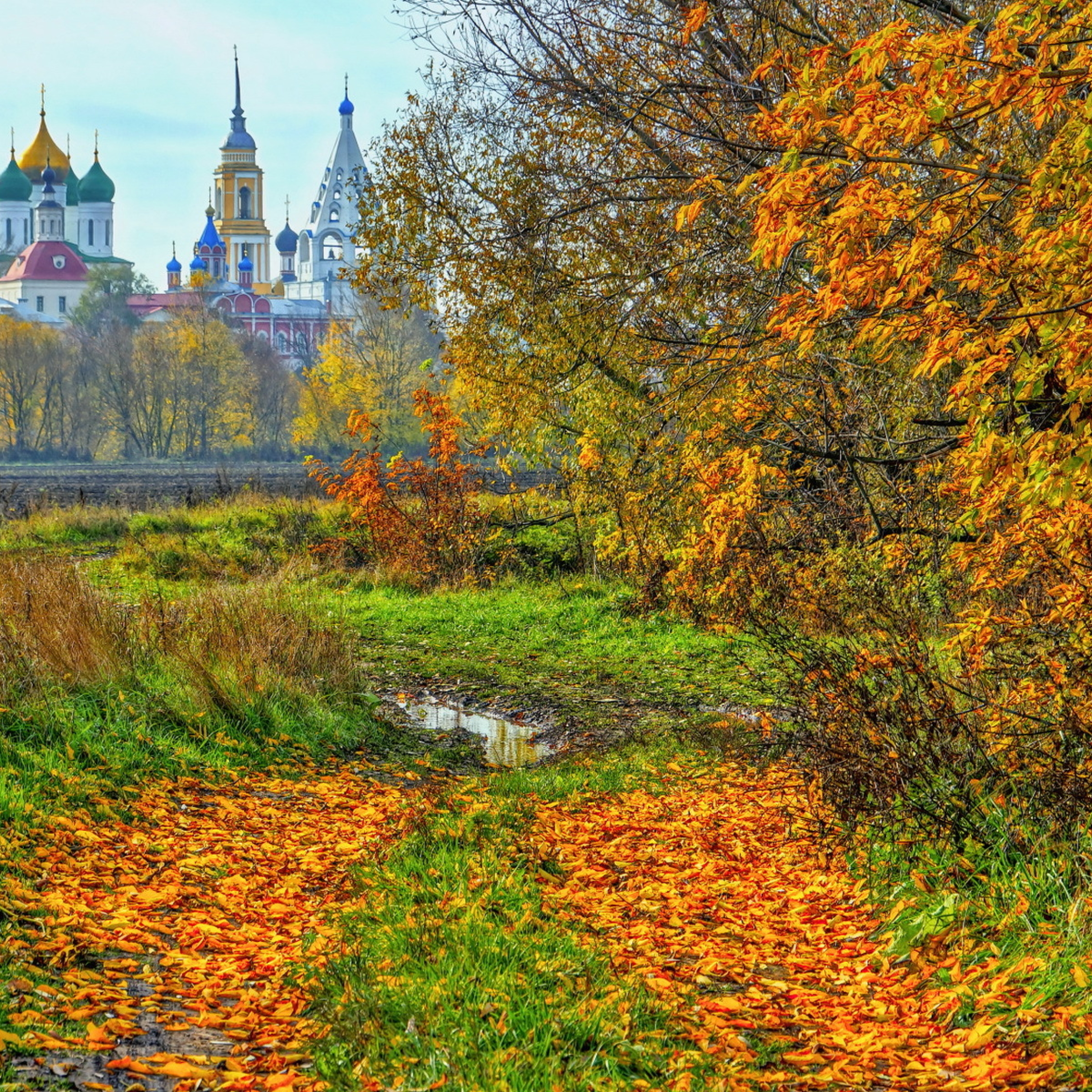 Осень в москве знакомимся с природой