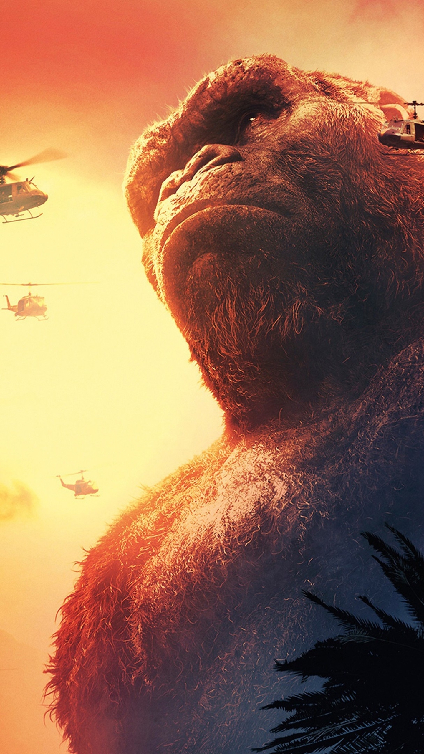 King Kong Wallpaper Iphone Best Hd Wallpaper