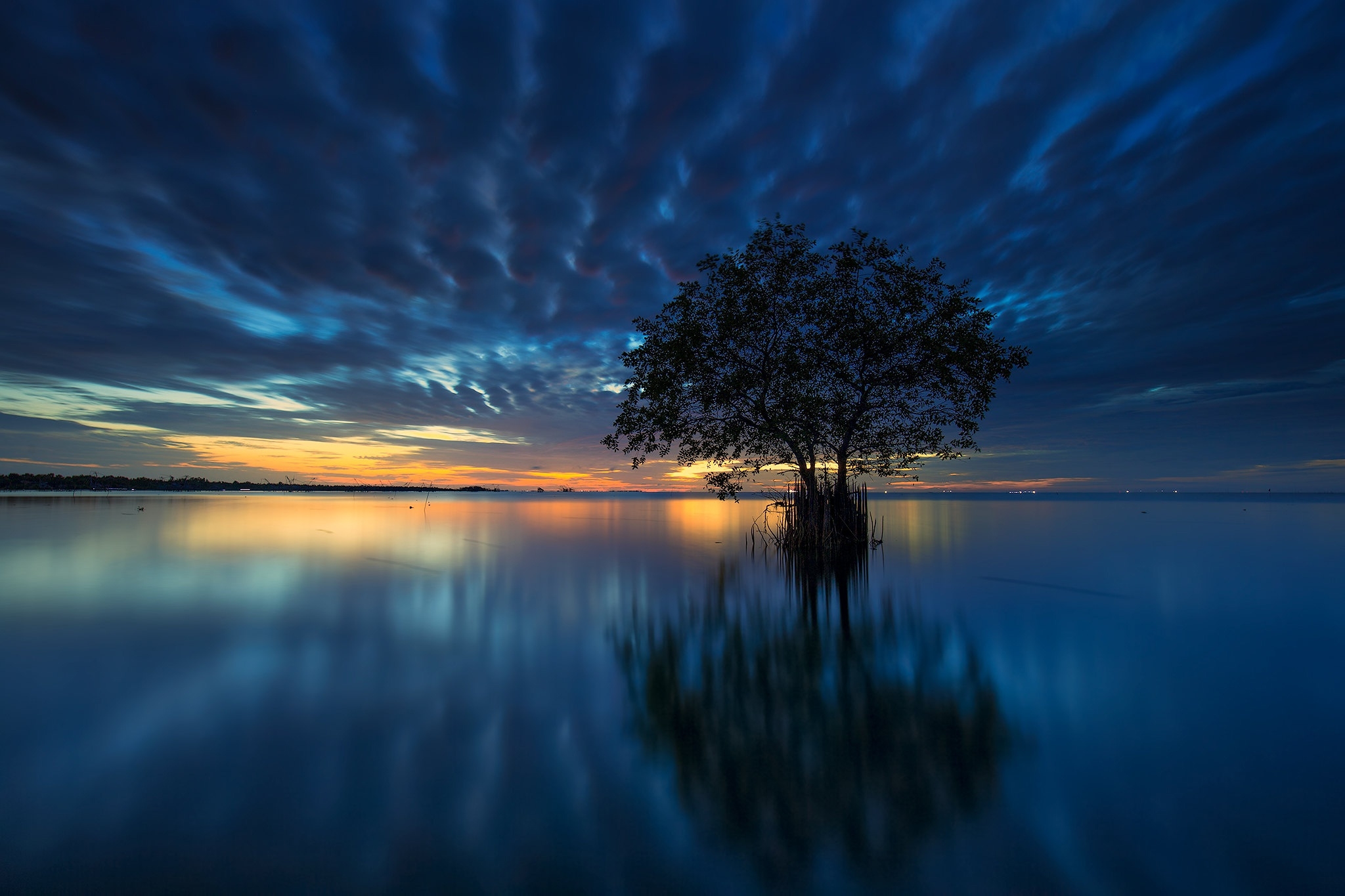 1920x108020194 Lake Tree 1920x108020194 Resolution Wallpaper HD Nature 