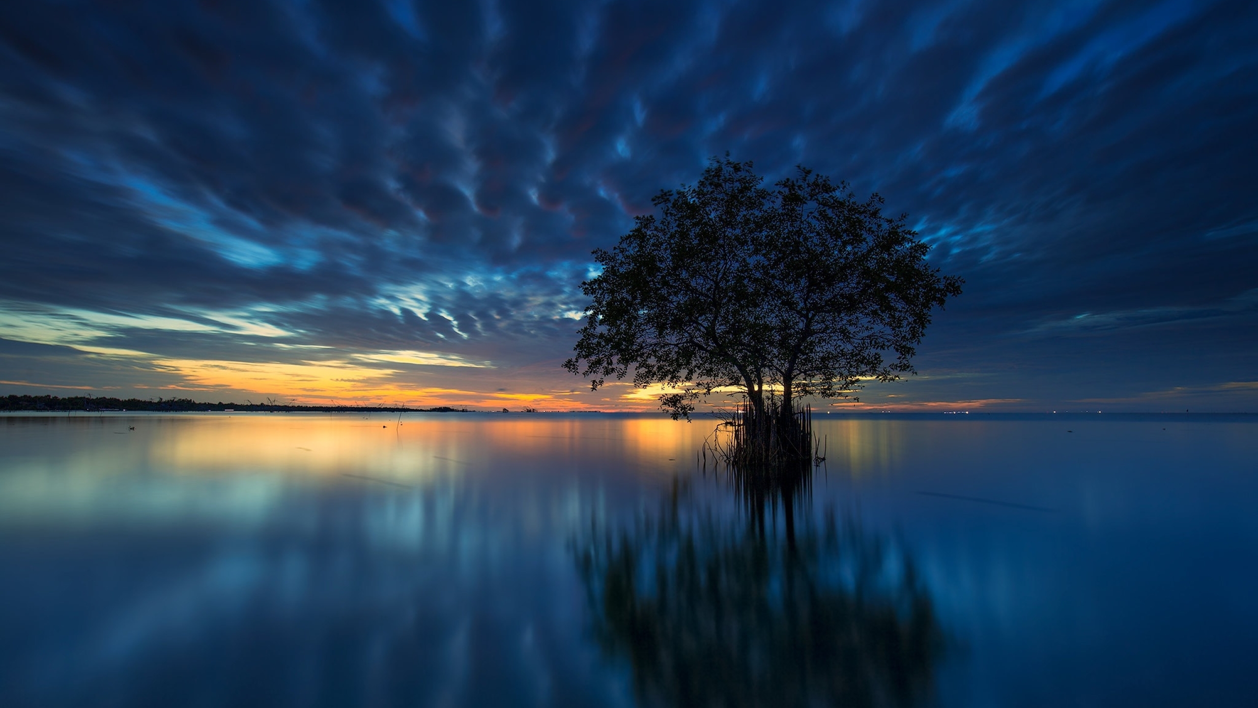 2560x1440 Resolution Lake Tree 1440P Resolution Wallpaper Wallpapers Den