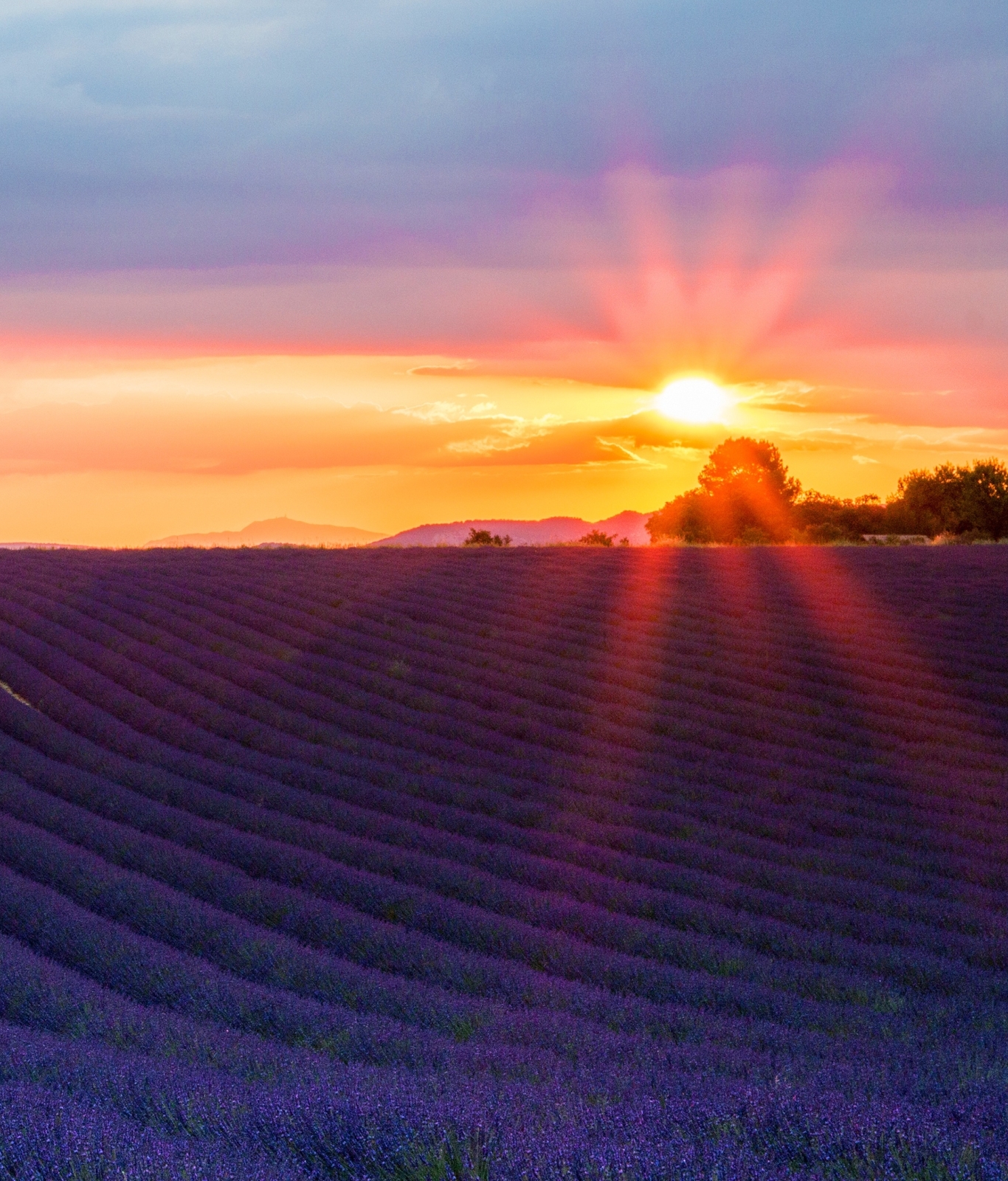 1366x1600 Resolution Lavender 4k Sunset 1366x1600 Resolution Wallpaper ...