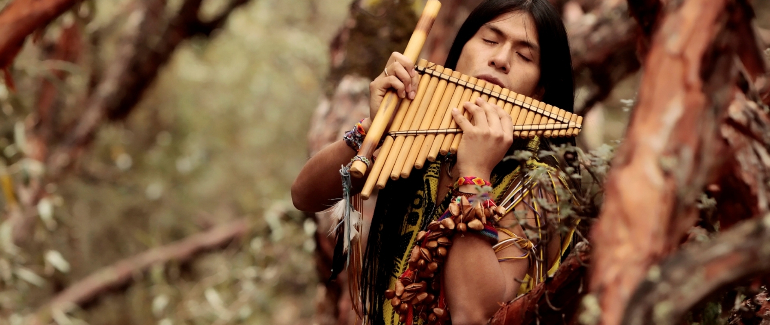 18 Перуанская флейта Лео Рохаса