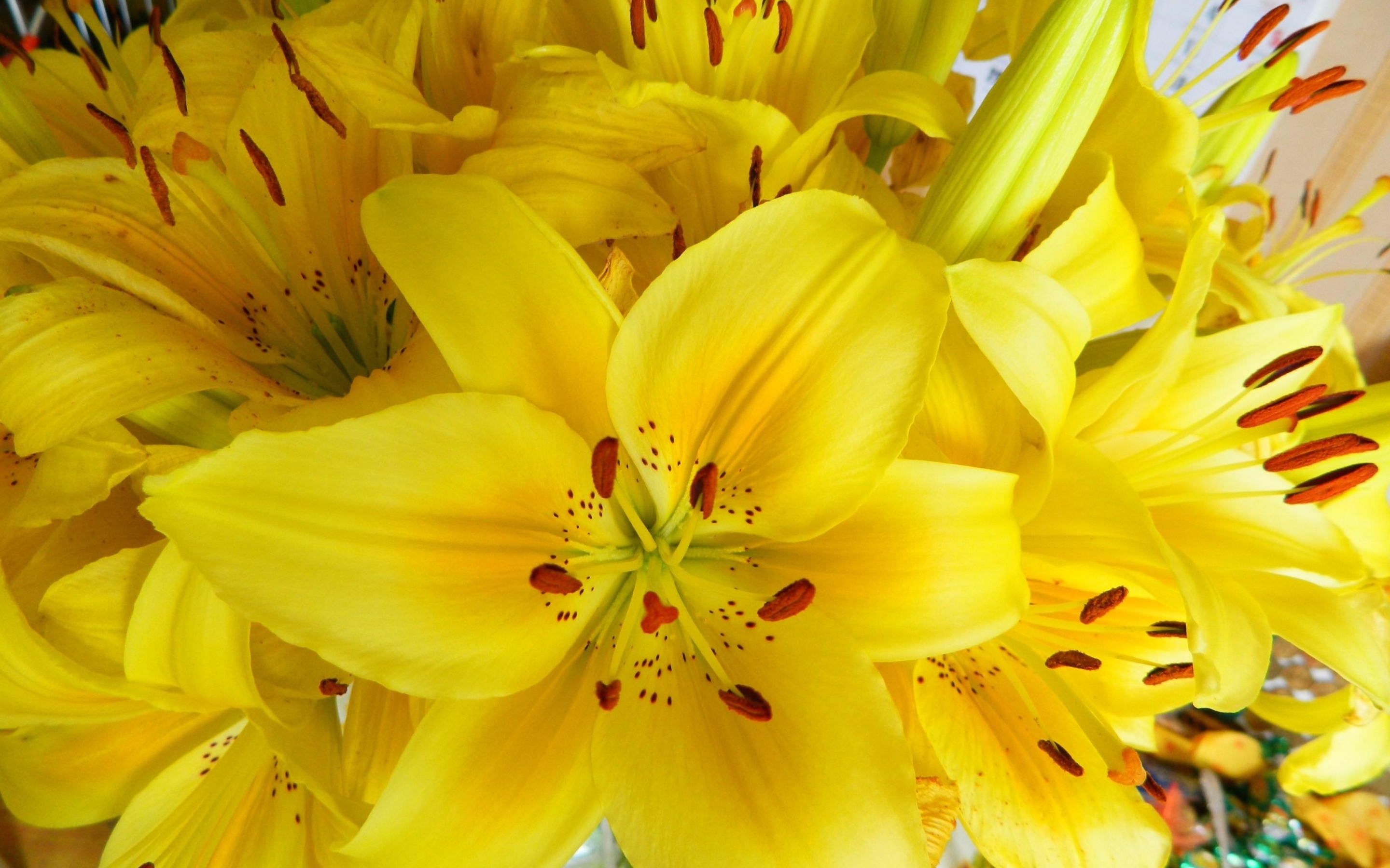 2880x1800 lilies, flowers, flower Macbook Pro Retina Wallpaper, HD ...