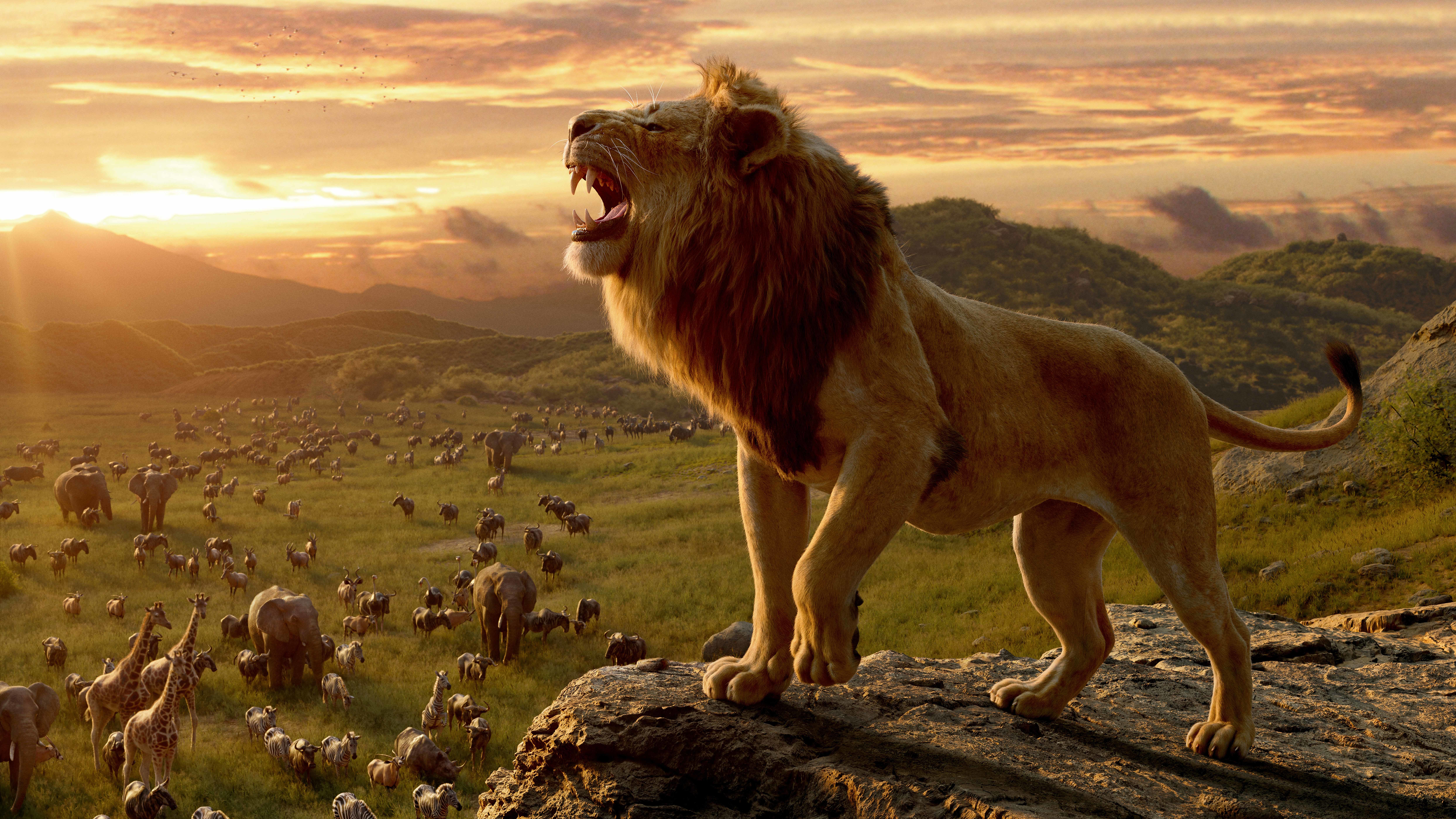 Lion From The Lion King Wallpaper, HD Movies 4K Wallpapers, Images ...