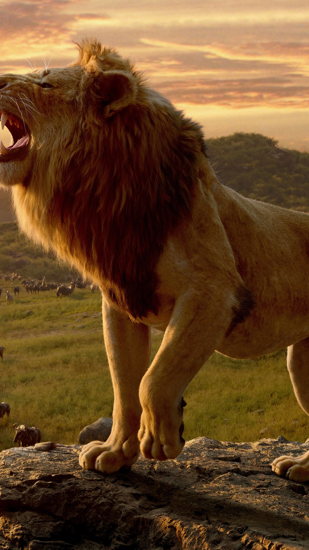 1242x2688 Scar The Lion King 2019 Iphone XS MAX HD 4k Wallpapers Images  Backgrounds Photos and Pictures