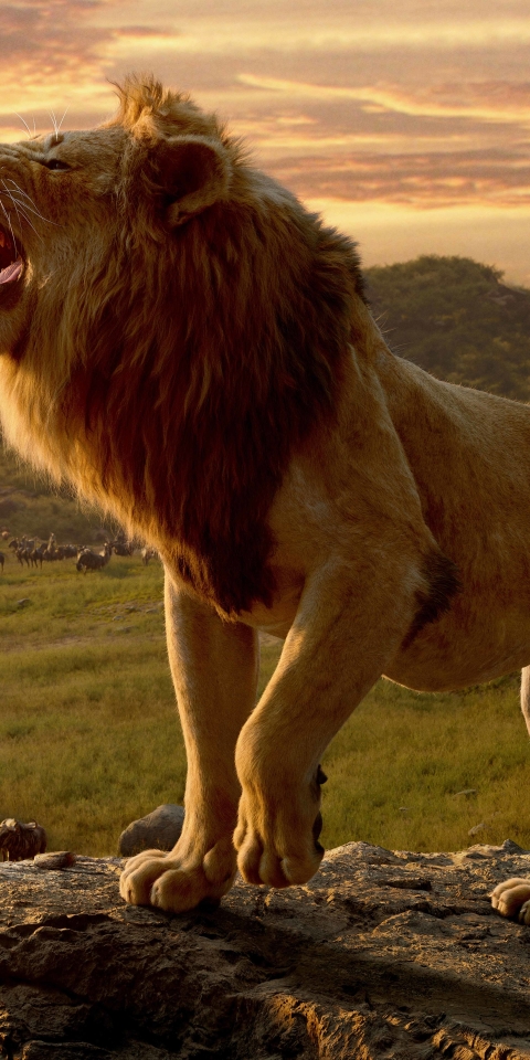 480x960 Lion From The Lion King 480x960 Resolution