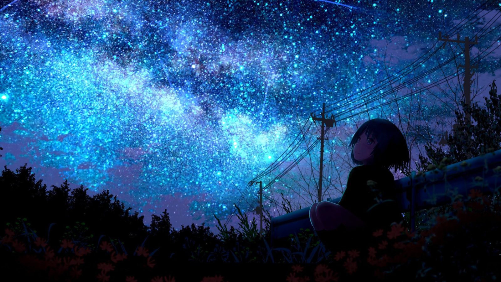 1600x900 Lonely Girl Starring Shooting Star 1600x900 Resolution