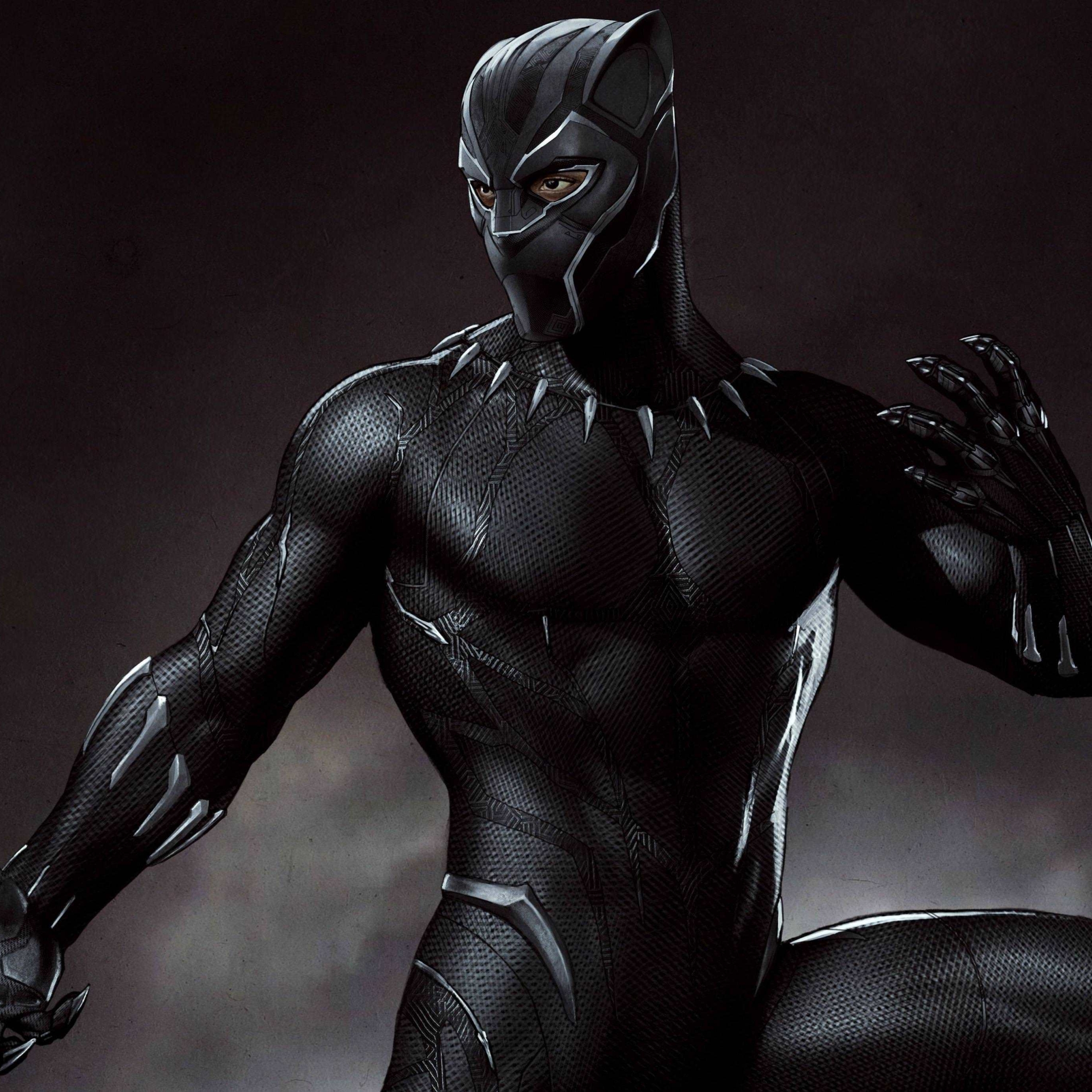 Marvel Black  Panther Artwork HD 4K  Wallpaper 
