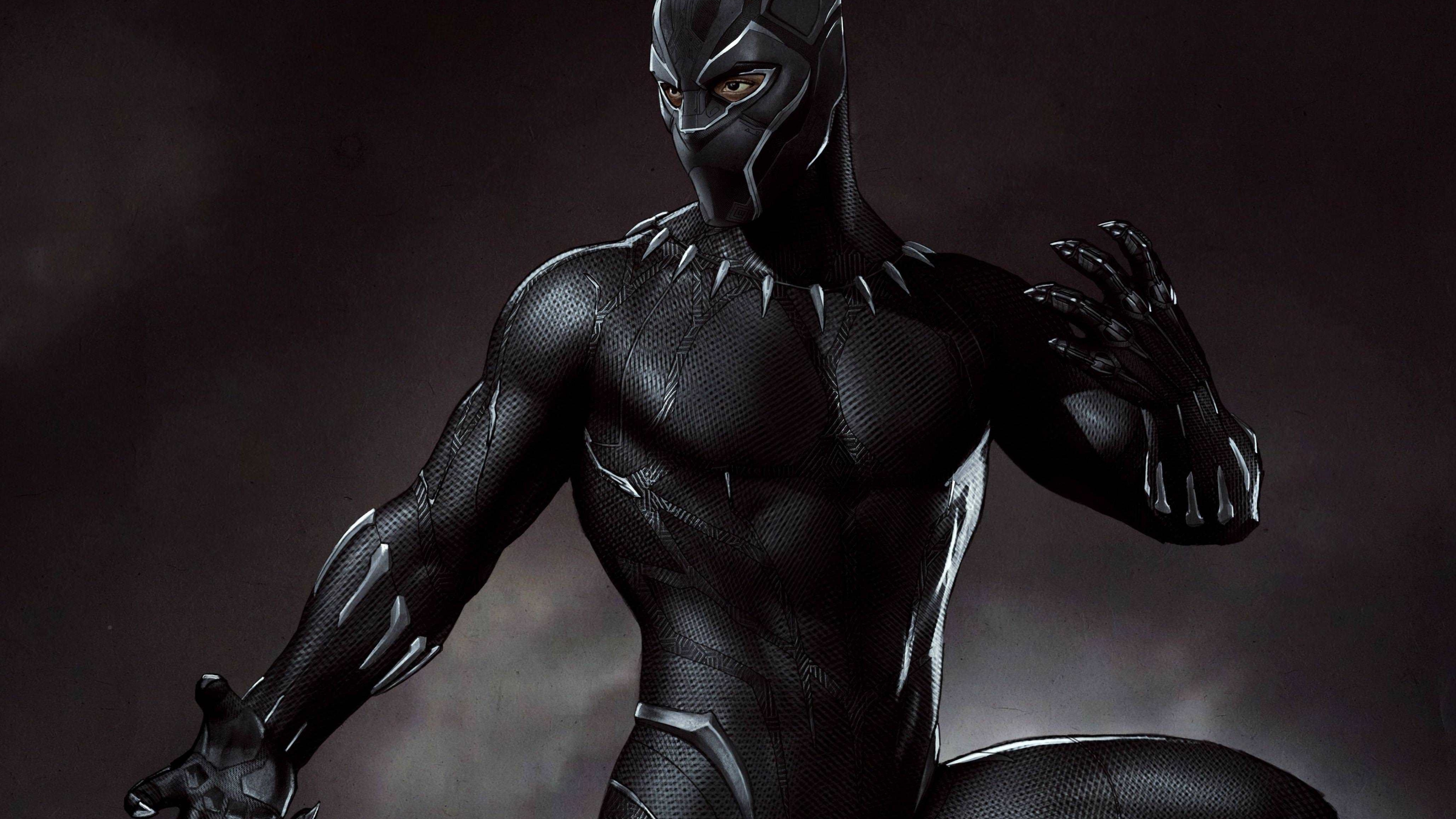 Marvel Black  Panther  Artwork HD  4K  Wallpaper 