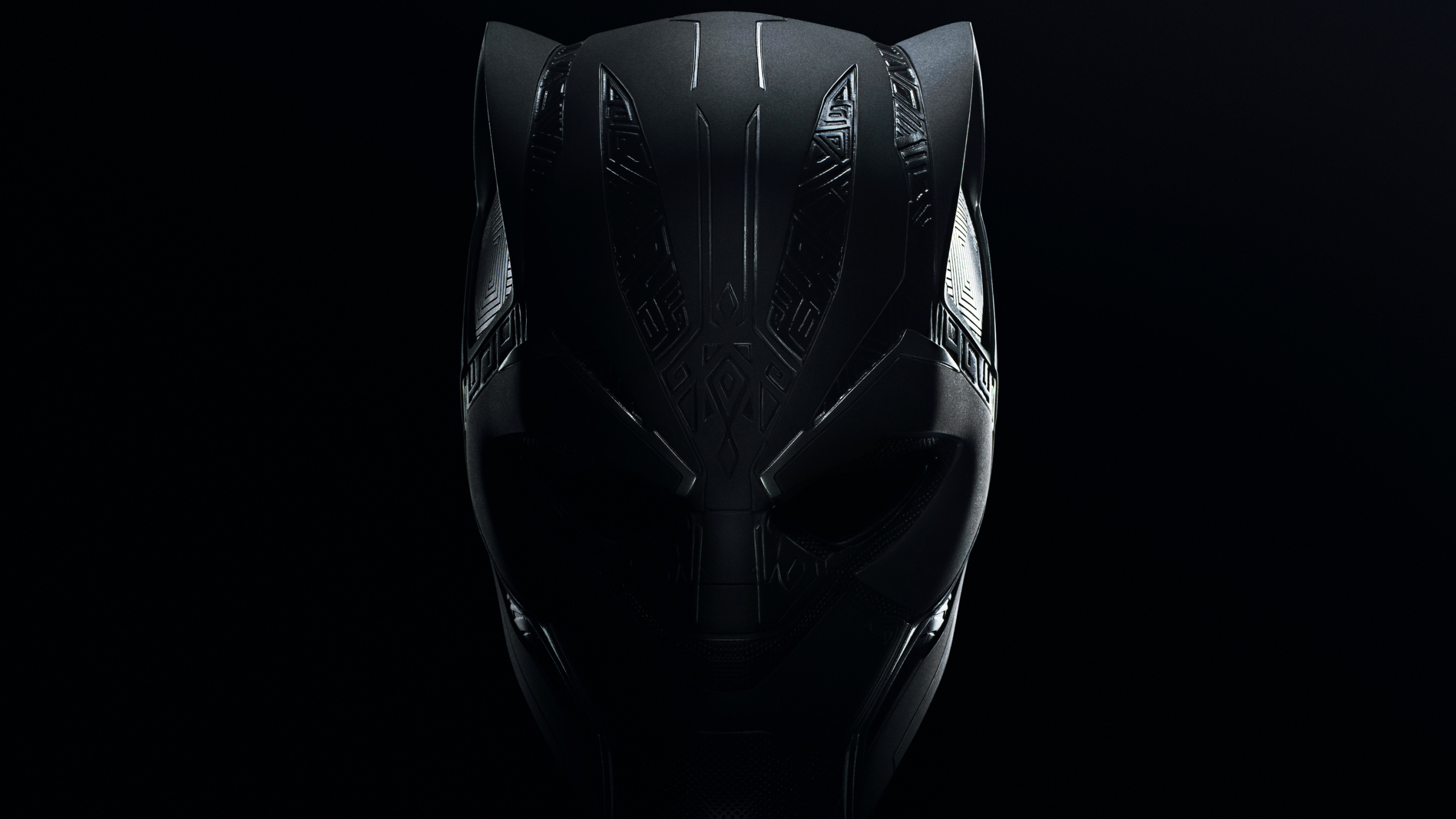 2560x1440 Marvel Black Panther Wakanda Forever Comic 1440p Resolution