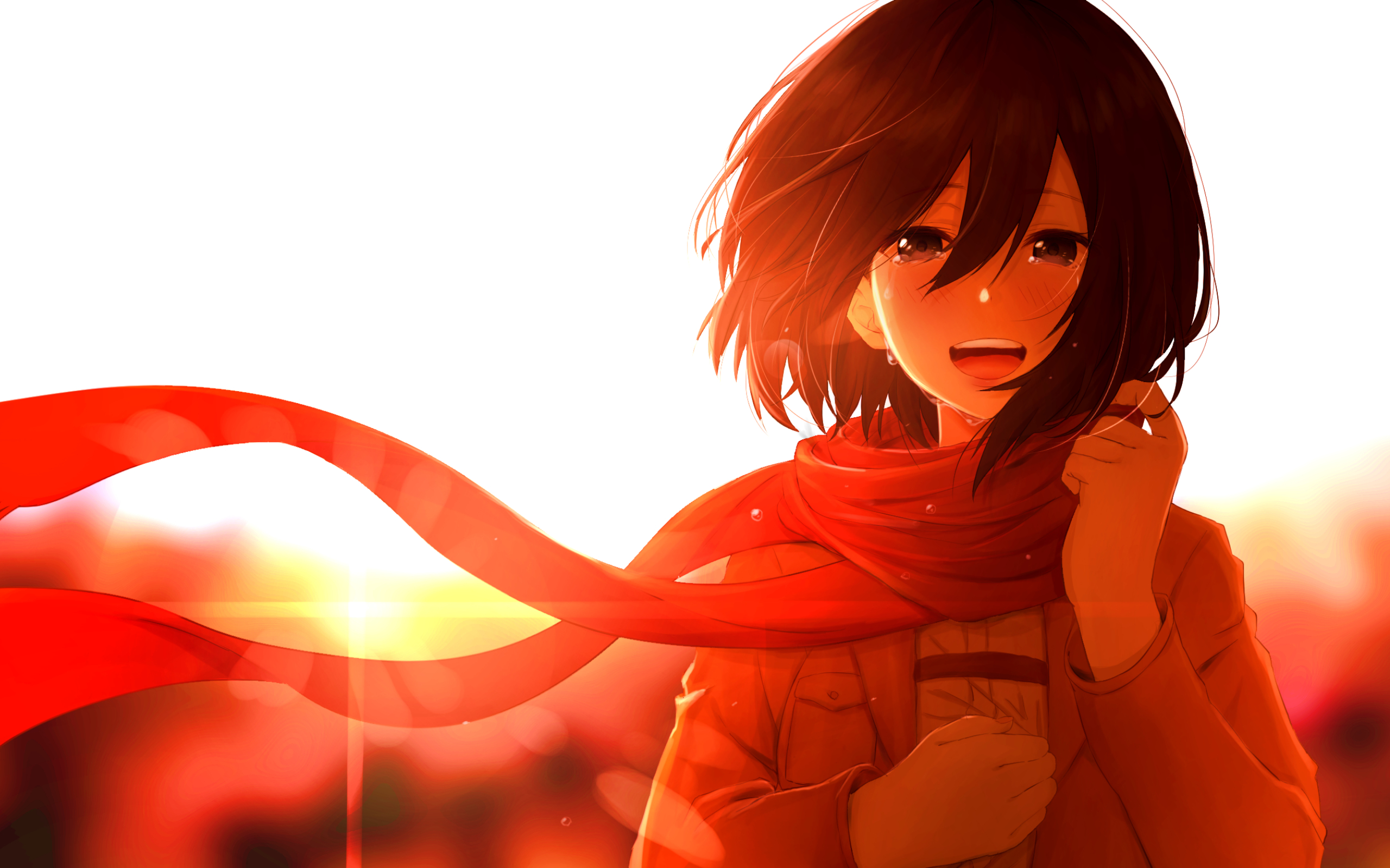 2560x1600 Mikasa Ackerman Anime 2560x1600 Resolution ...