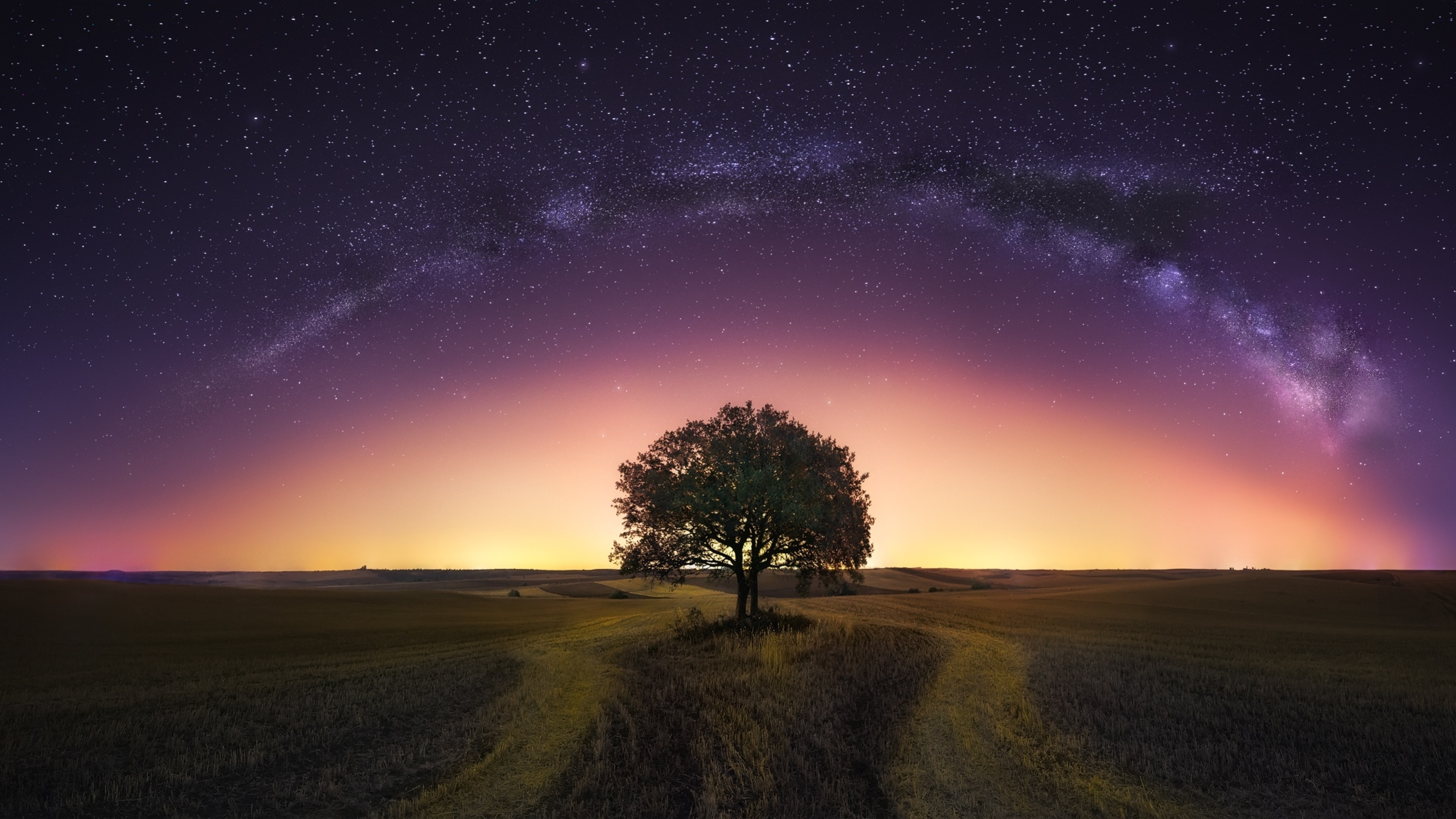 Звездное небо в поле. Ночное небо. Млечный путь. Одинокое дерево в поле ночью. Ночное поле с деревом.