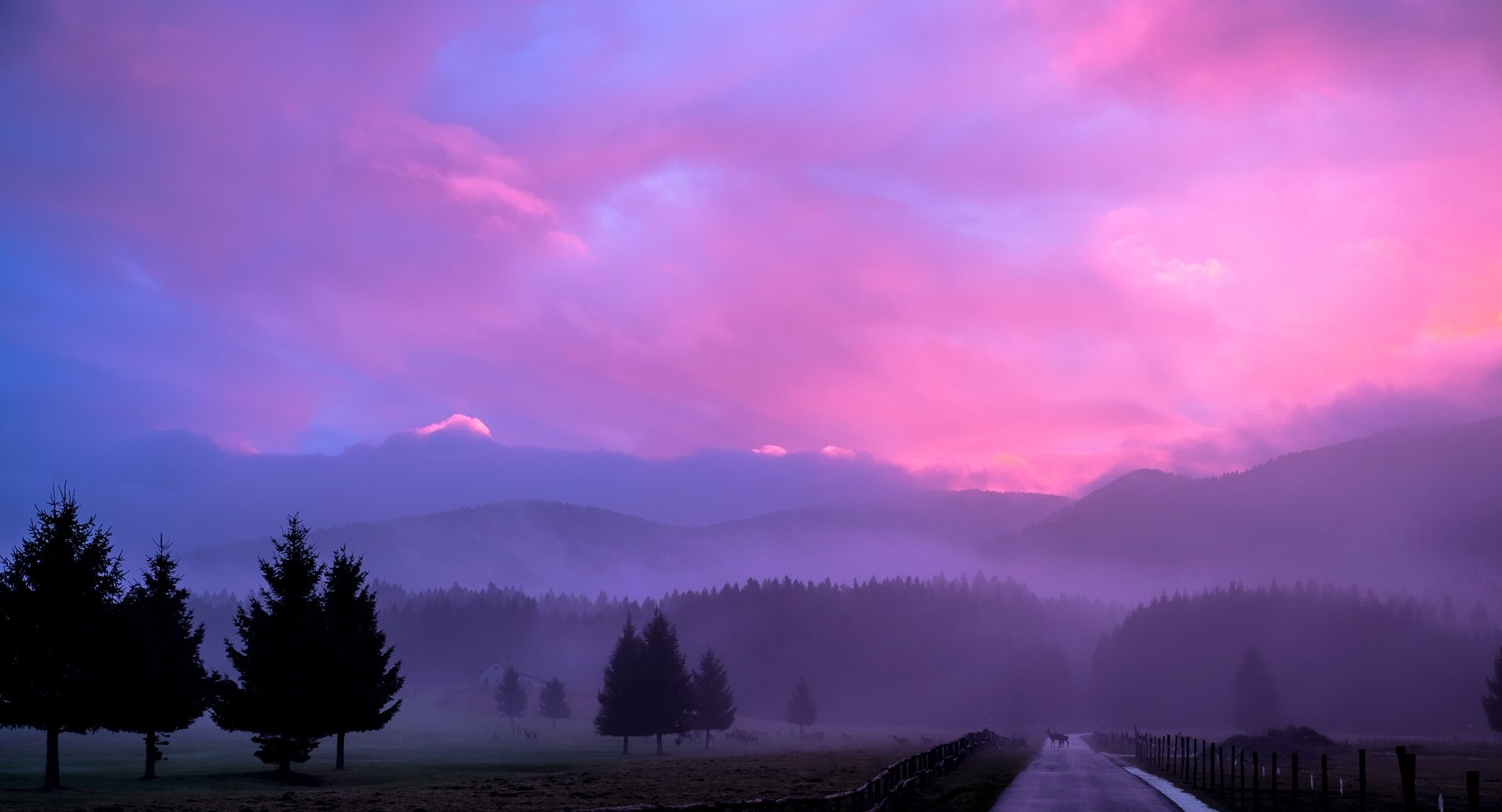 Misty Pink Sunset Wallpaper, HD Nature 4K Wallpapers, Images, Photos and  Background - Wallpapers Den