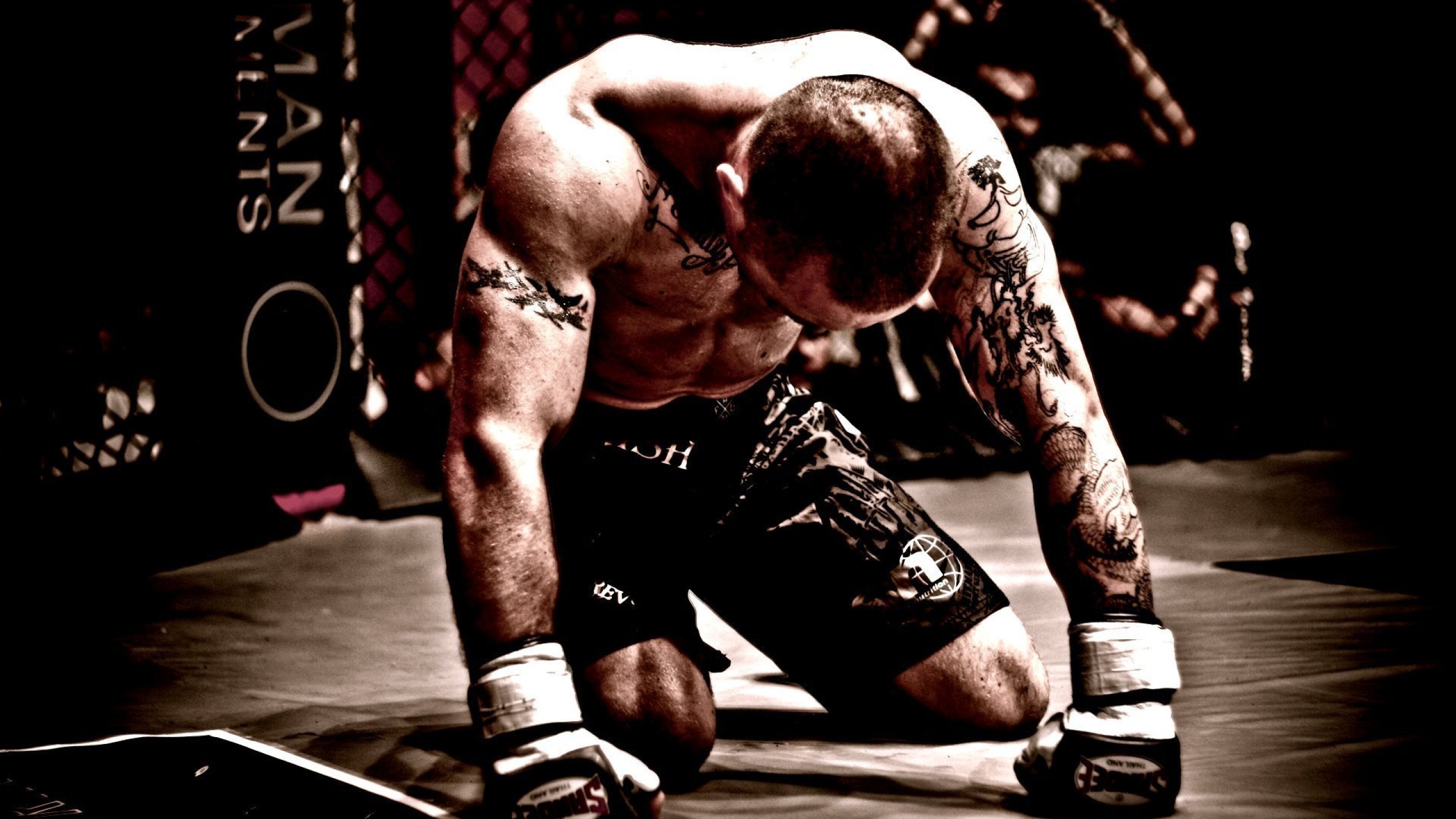 2560x1440 Resolution Mma Mixed Martial Arts Fighter 1440p Resolution