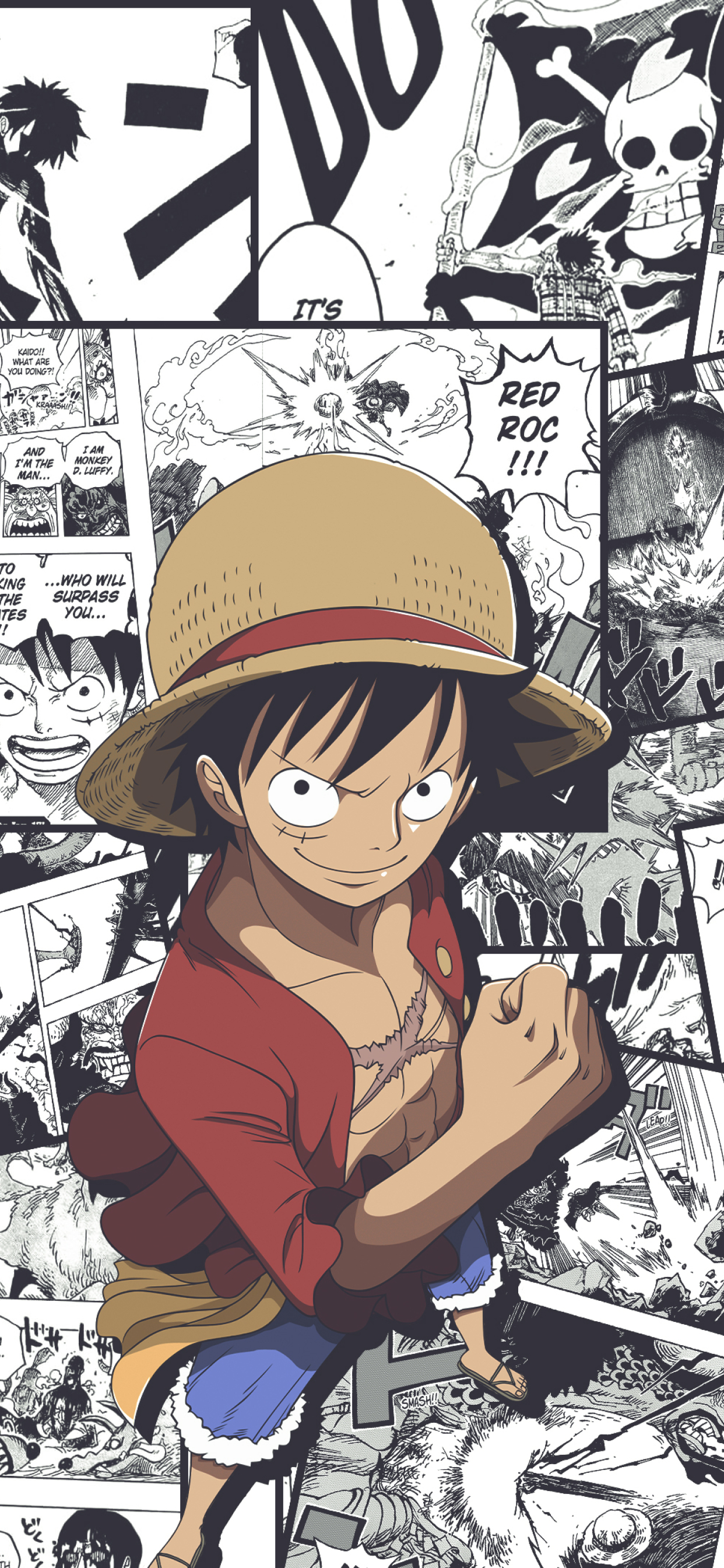 136+ One Piece iPhone