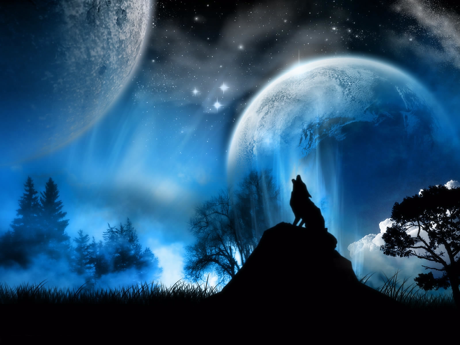 Moon light and stars night background with trees nature art images