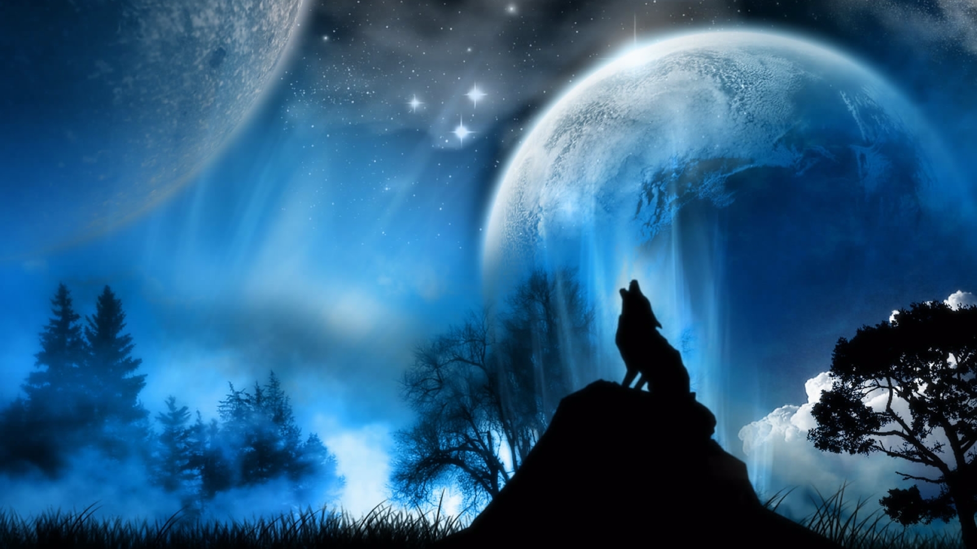 white wolf HD wallpapers, backgrounds