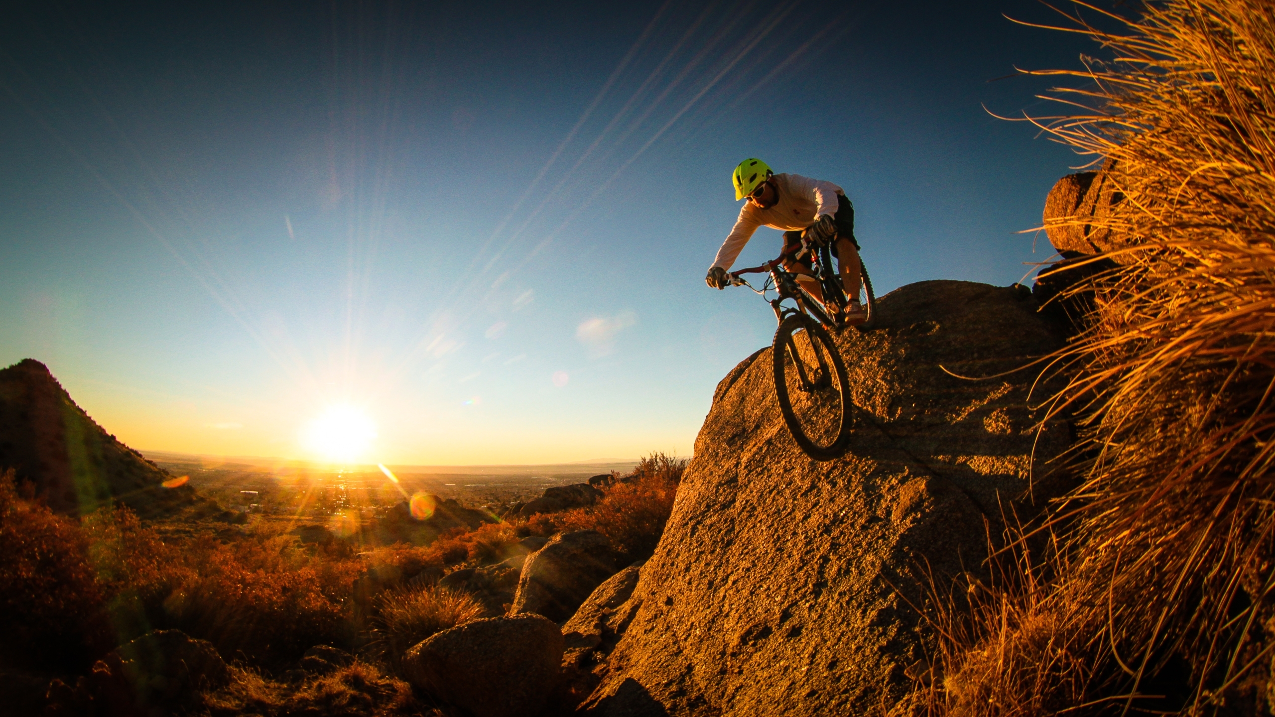 2560x1440 mountain bike, cyclist, man 1440P Resolution Wallpaper, HD Sports  4K Wallpapers, Images, Photos and Background - Wallpapers Den